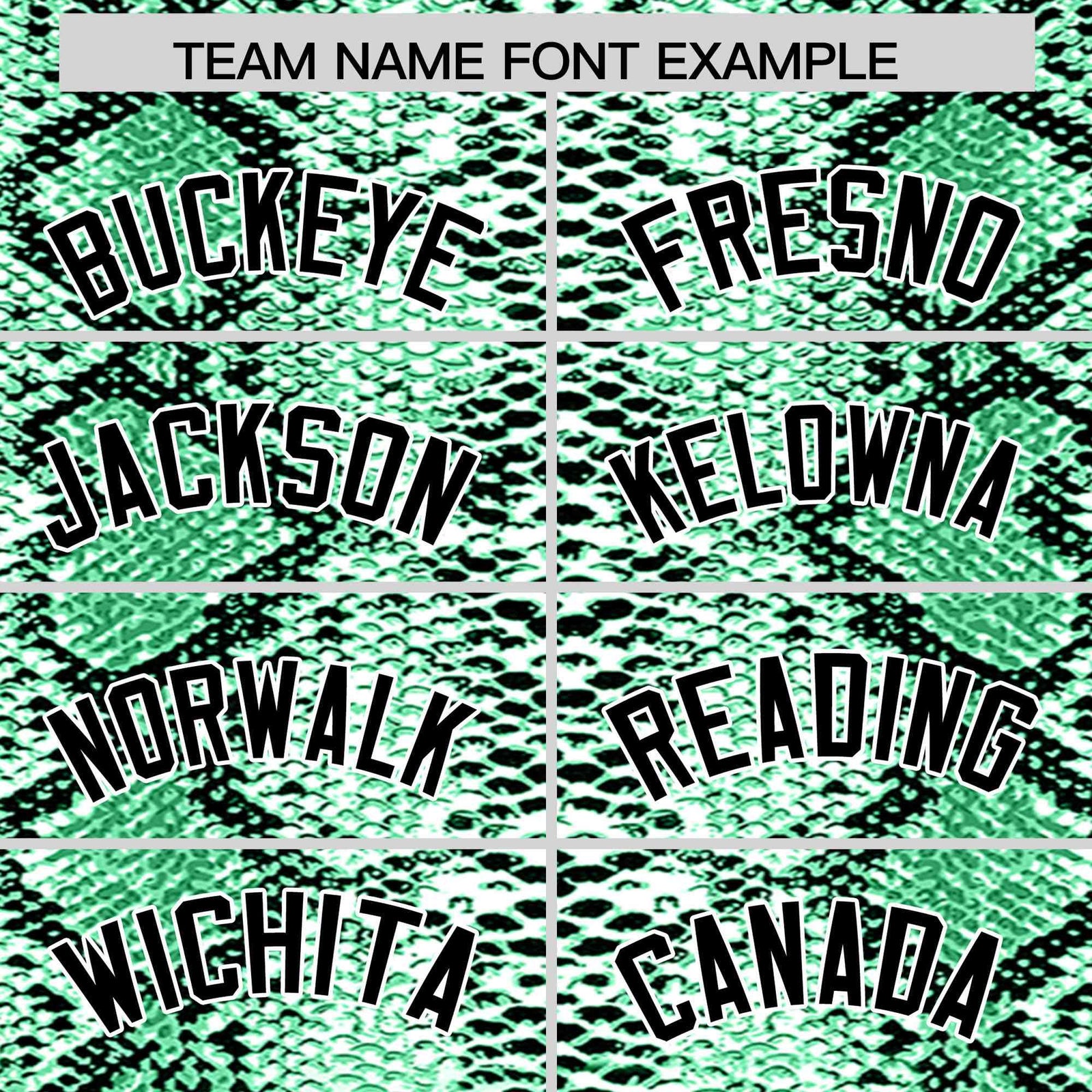 Custom Multi Color Snakeskin Pattern Authentic Baseball Jersey