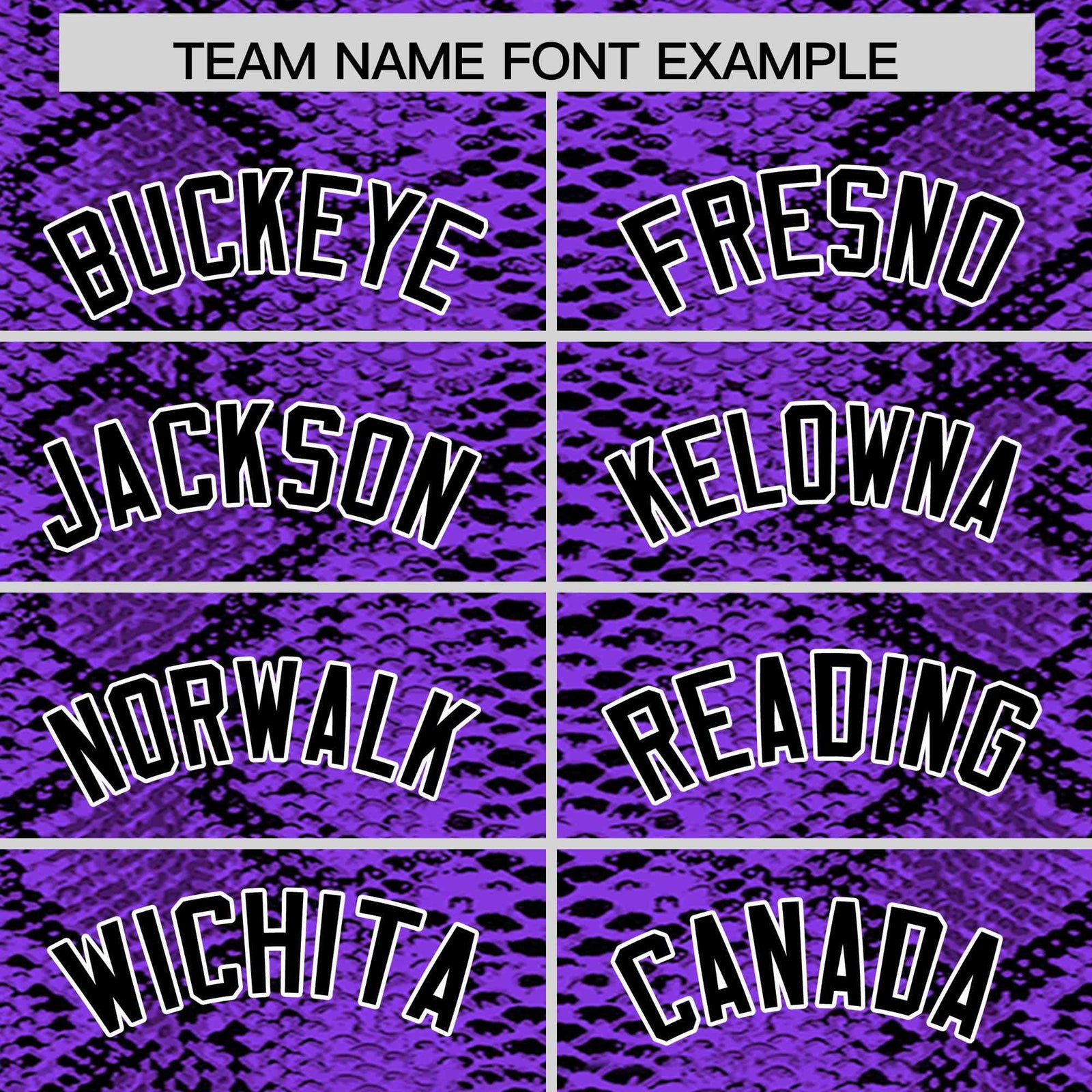 Custom Multi Color Snakeskin Pattern Authentic Baseball Jersey