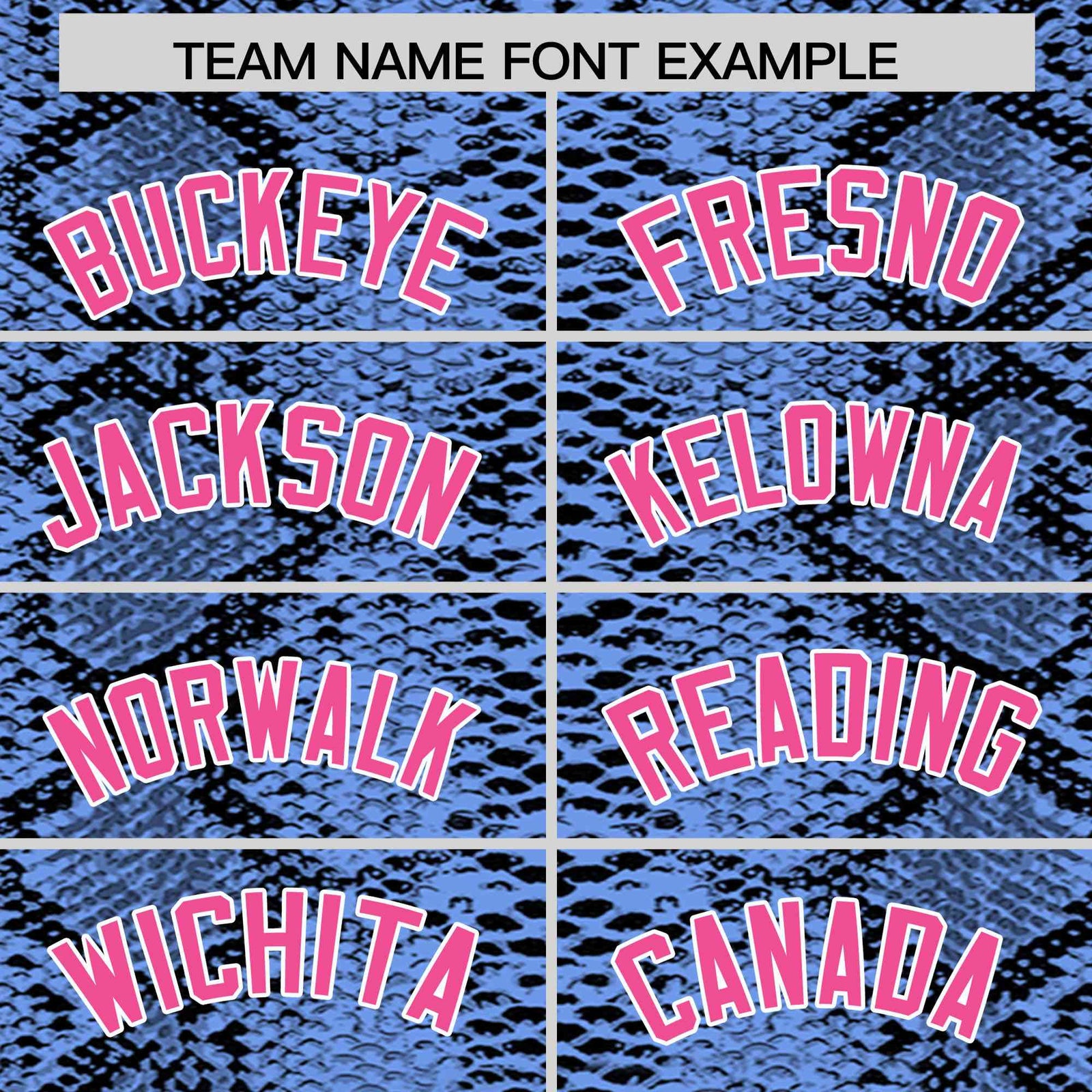 Custom Multi Color Snakeskin Pattern Authentic Baseball Jersey