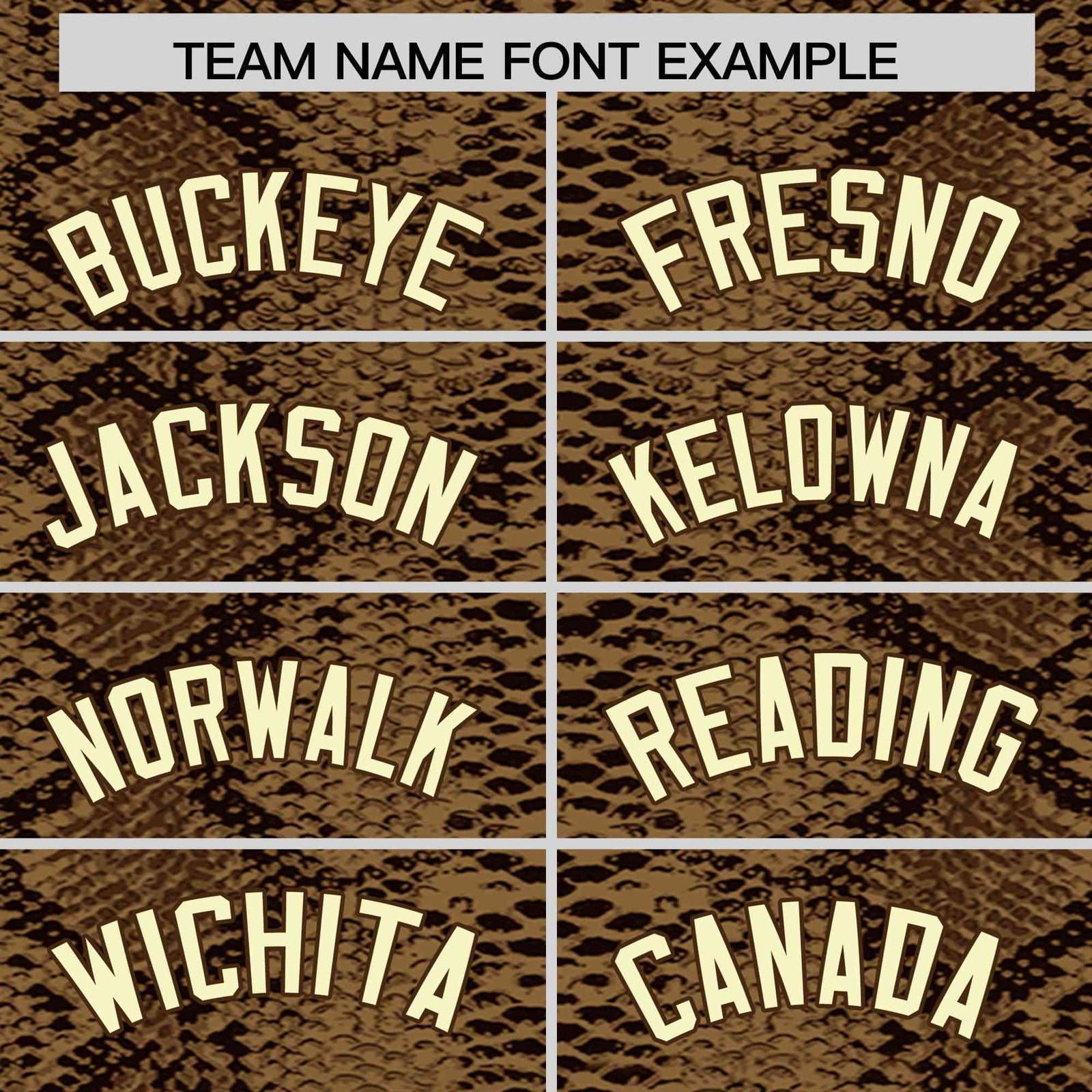 Custom Multi Color Snakeskin Pattern Authentic Baseball Jersey