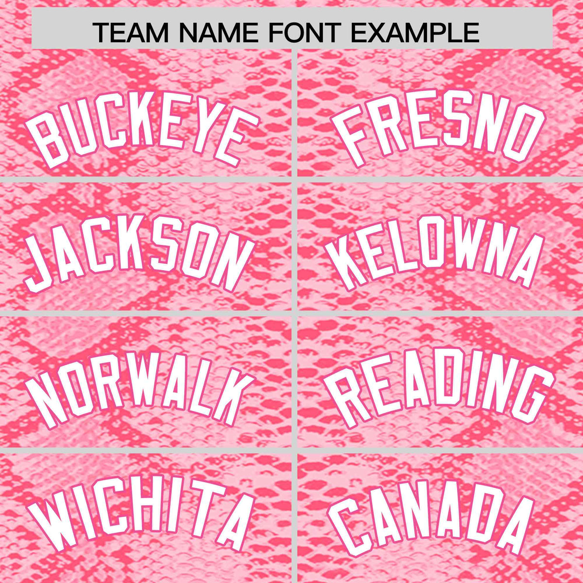 Custom Multi Color Snakeskin Pattern Authentic Baseball Jersey