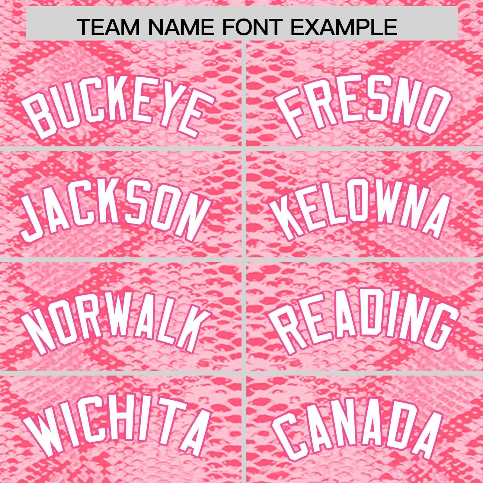 Custom Multi Color Snakeskin Pattern Authentic Baseball Jersey