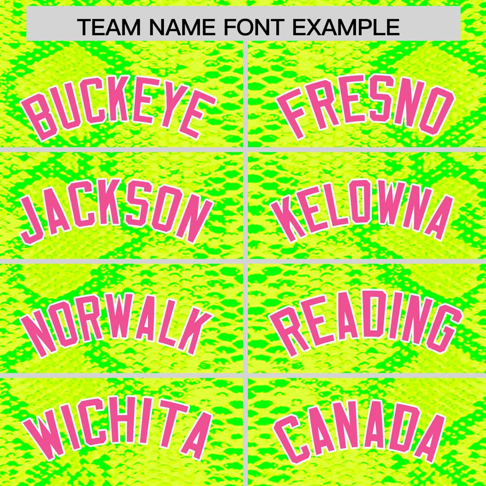 Custom Multi Color Snakeskin Pattern Authentic Baseball Jersey