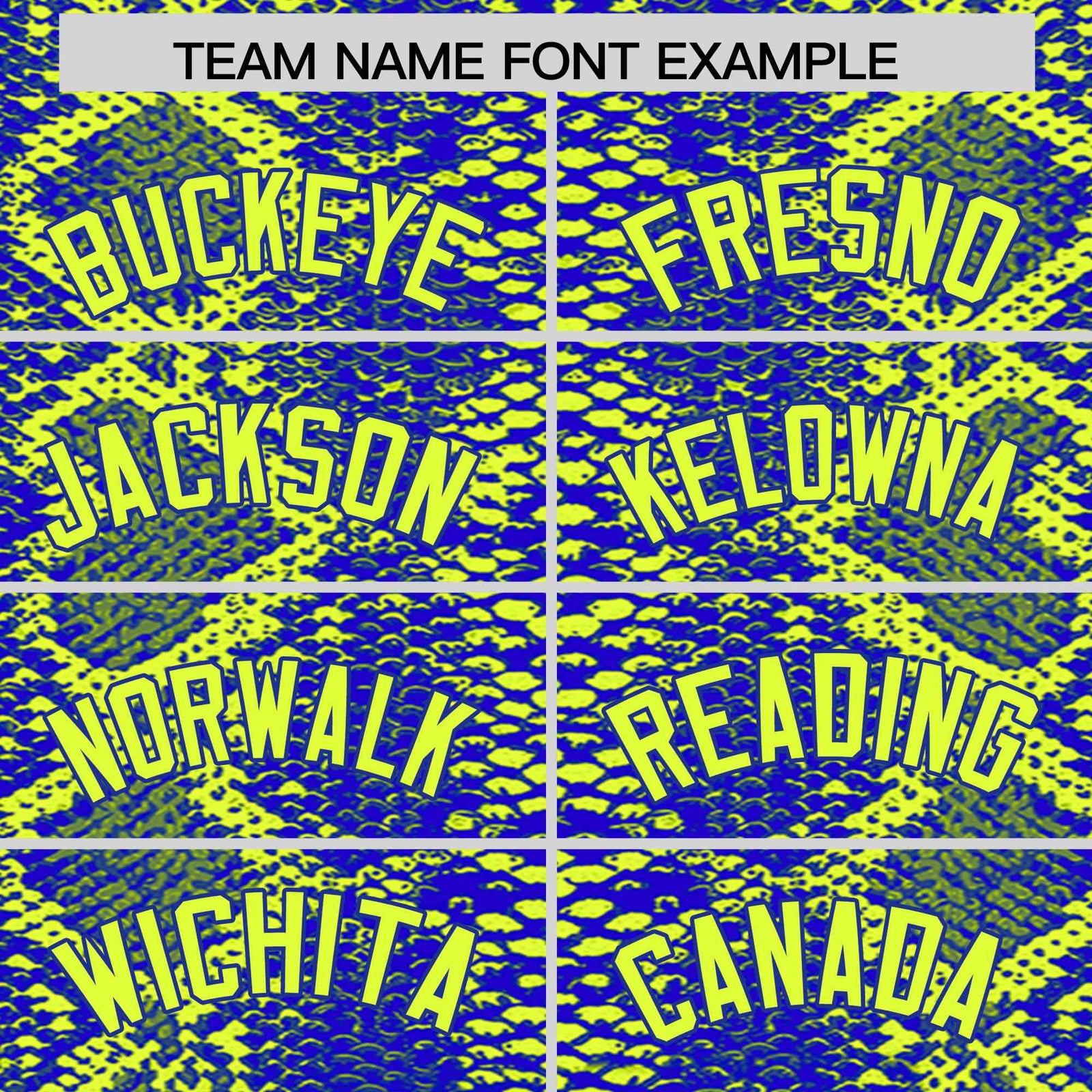 Custom Multi Color Snakeskin Pattern Authentic Baseball Jersey