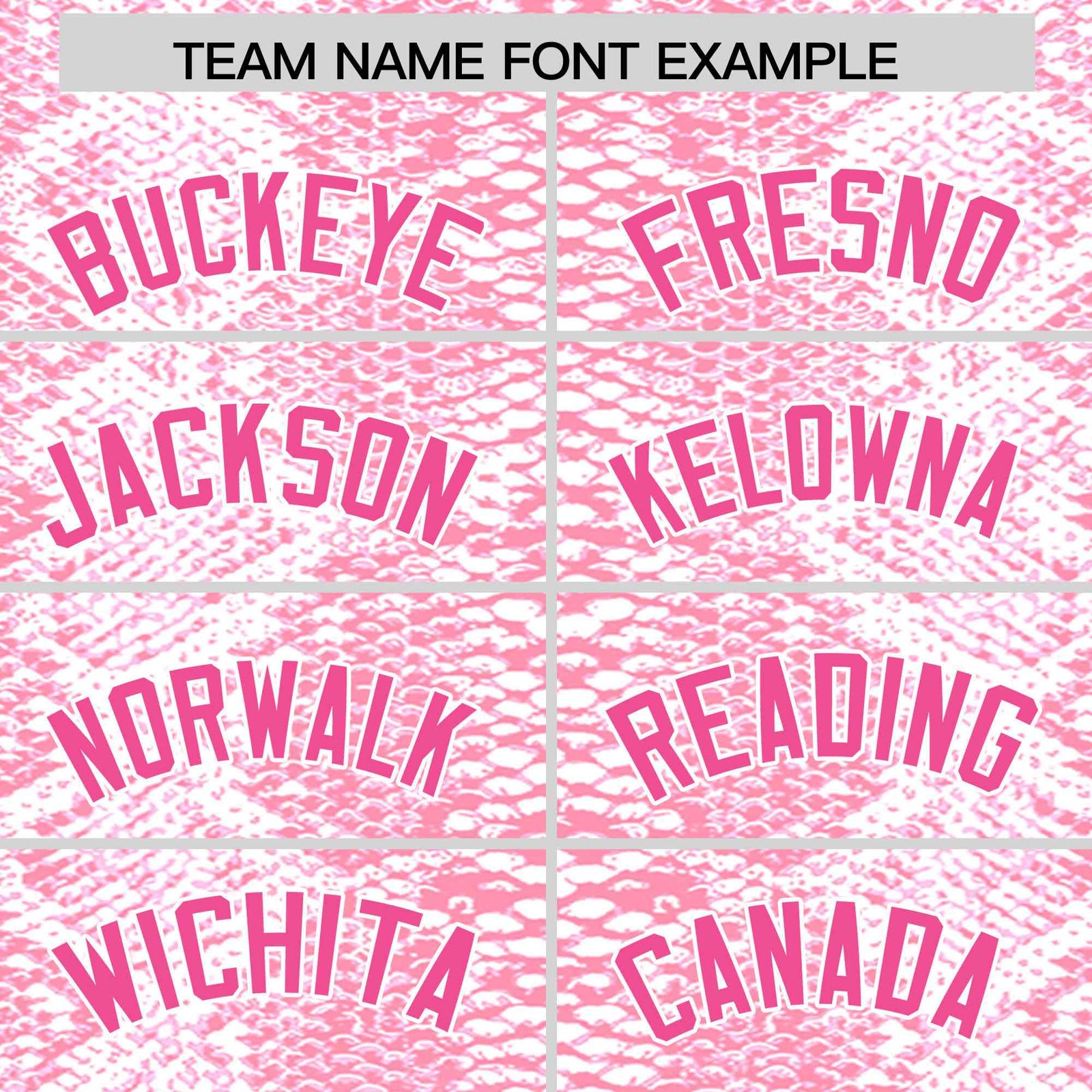 Custom Multi Color Snakeskin Pattern Authentic Baseball Jersey