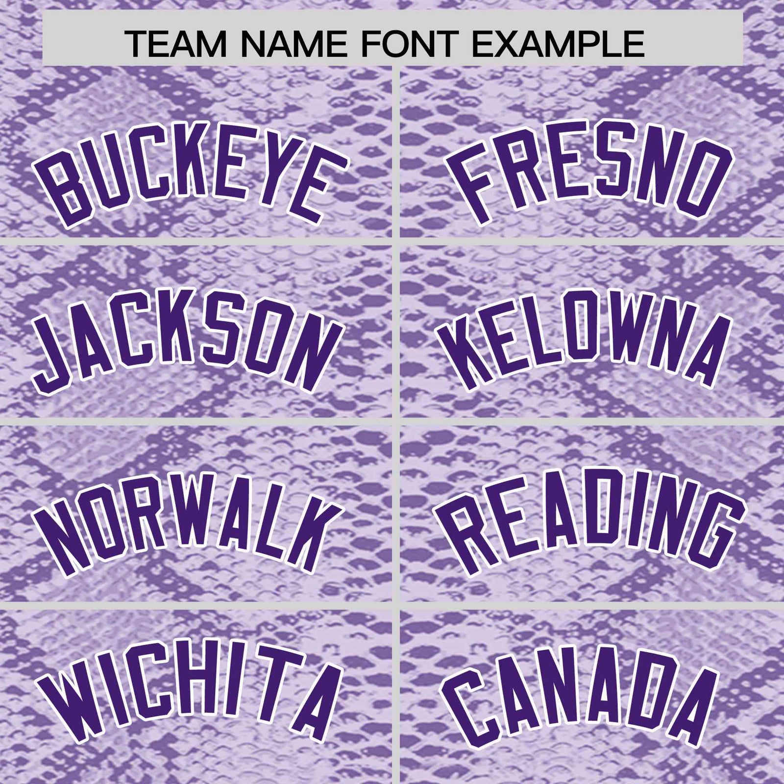 Custom Multi Color Snakeskin Pattern Authentic Baseball Jersey