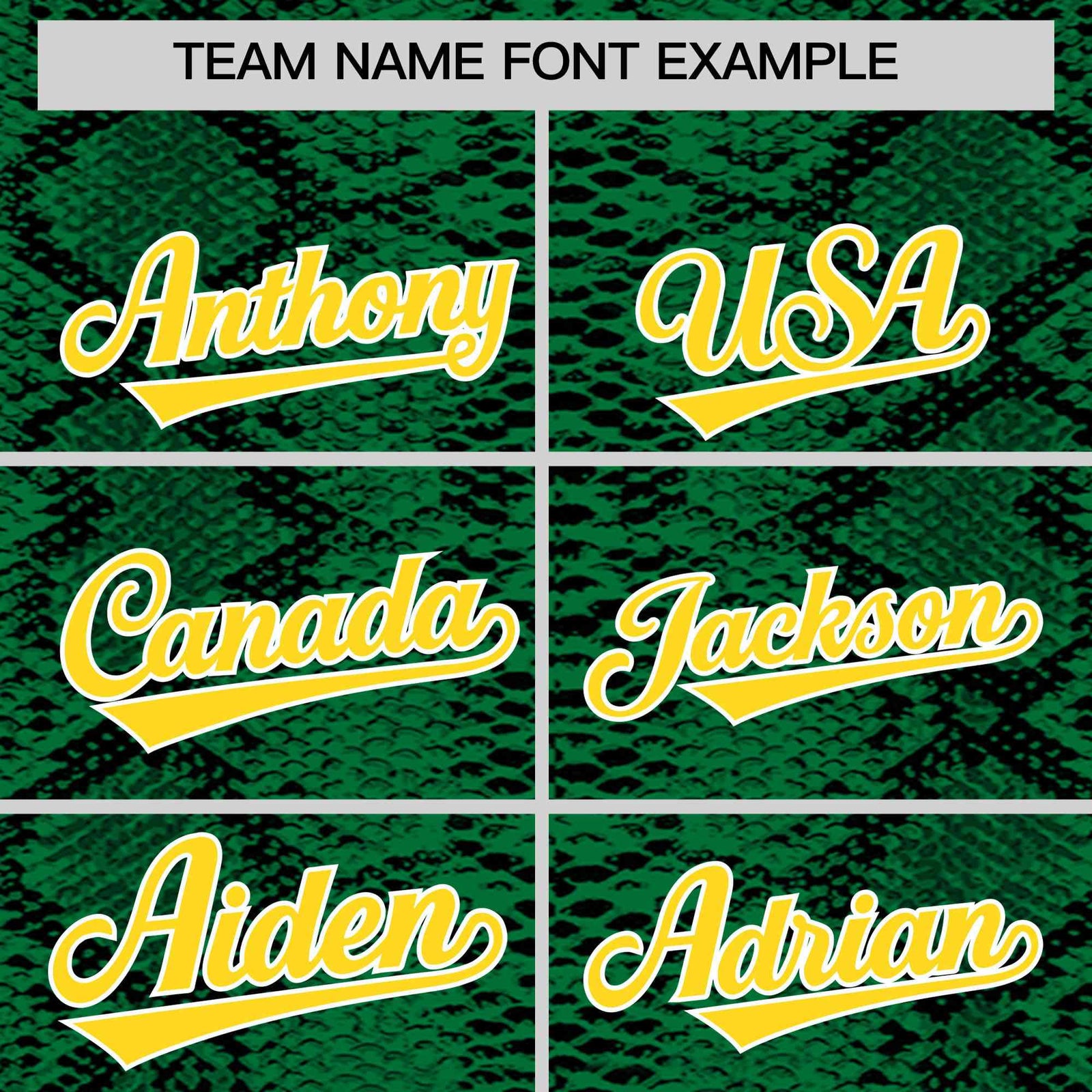 Custom Multi Color Snakeskin Pattern Authentic Baseball Jersey