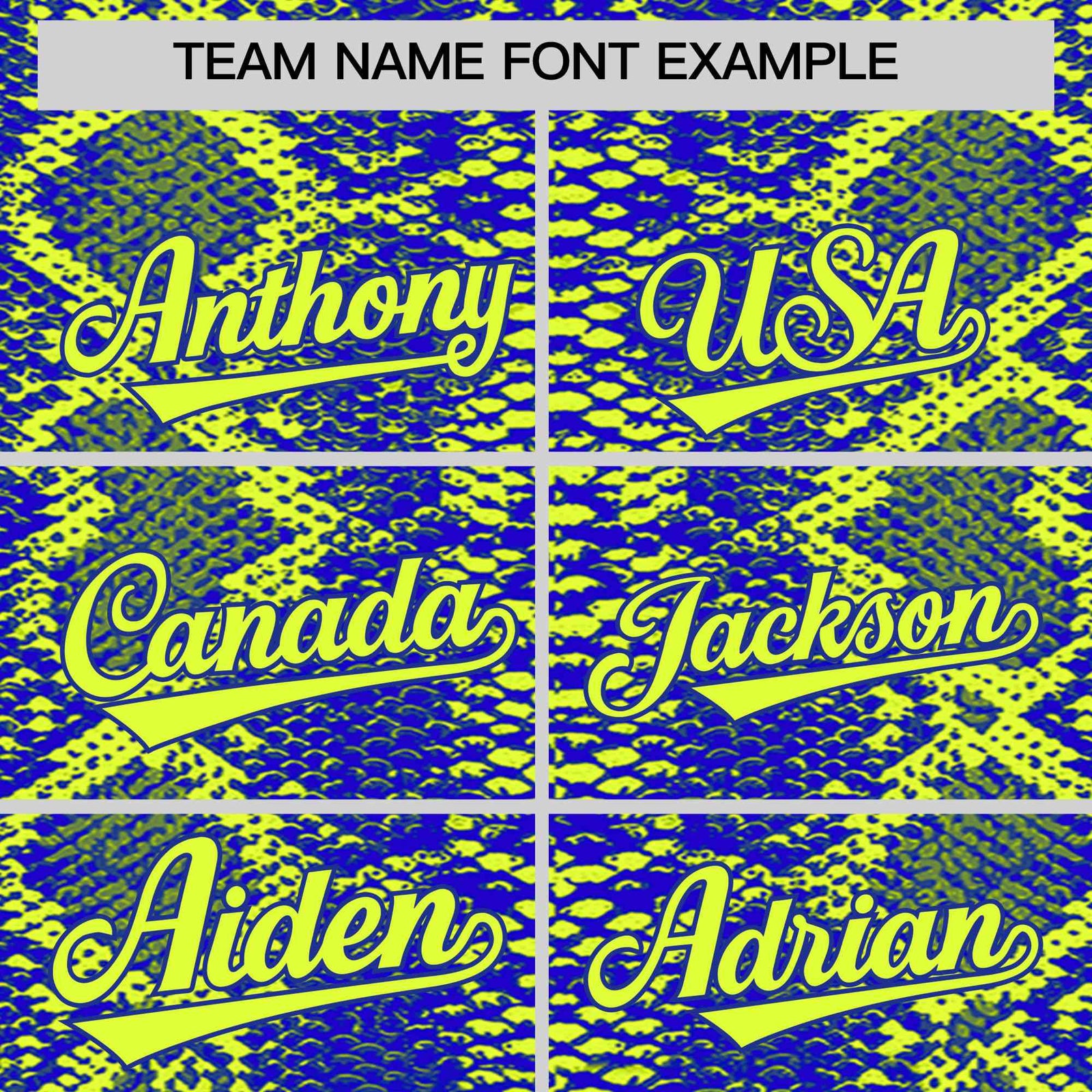 Custom Multi Color Snakeskin Pattern Authentic Baseball Jersey