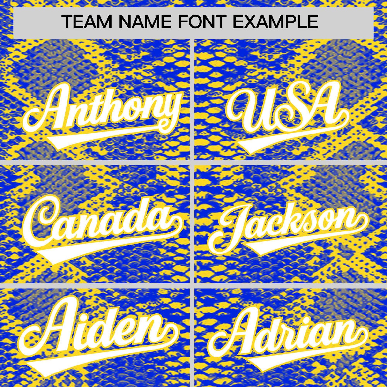 Custom Multi Color Snakeskin Pattern Authentic Baseball Jersey