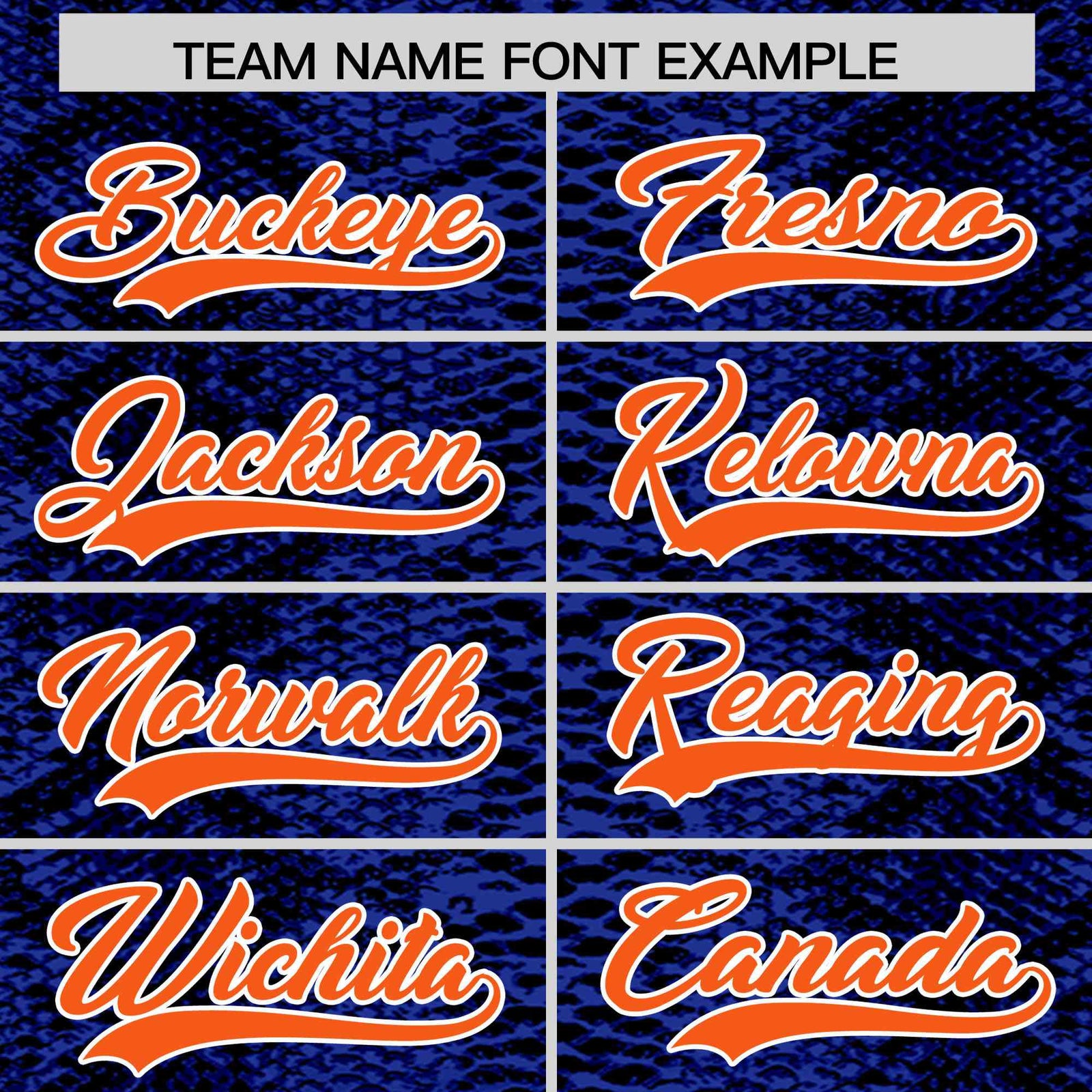 Custom Multi Color Snakeskin Pattern Authentic Baseball Jersey