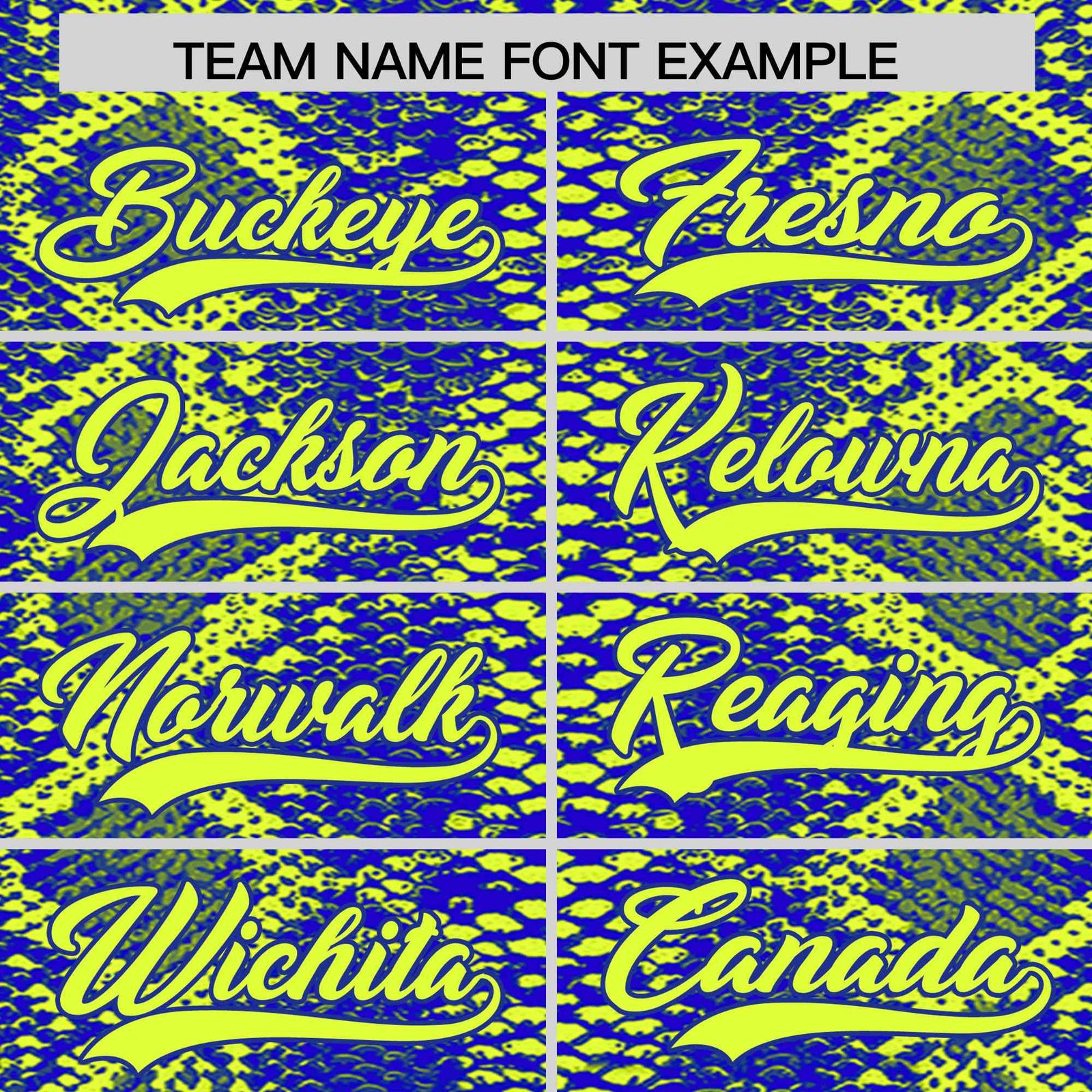 Custom Multi Color Snakeskin Pattern Authentic Baseball Jersey