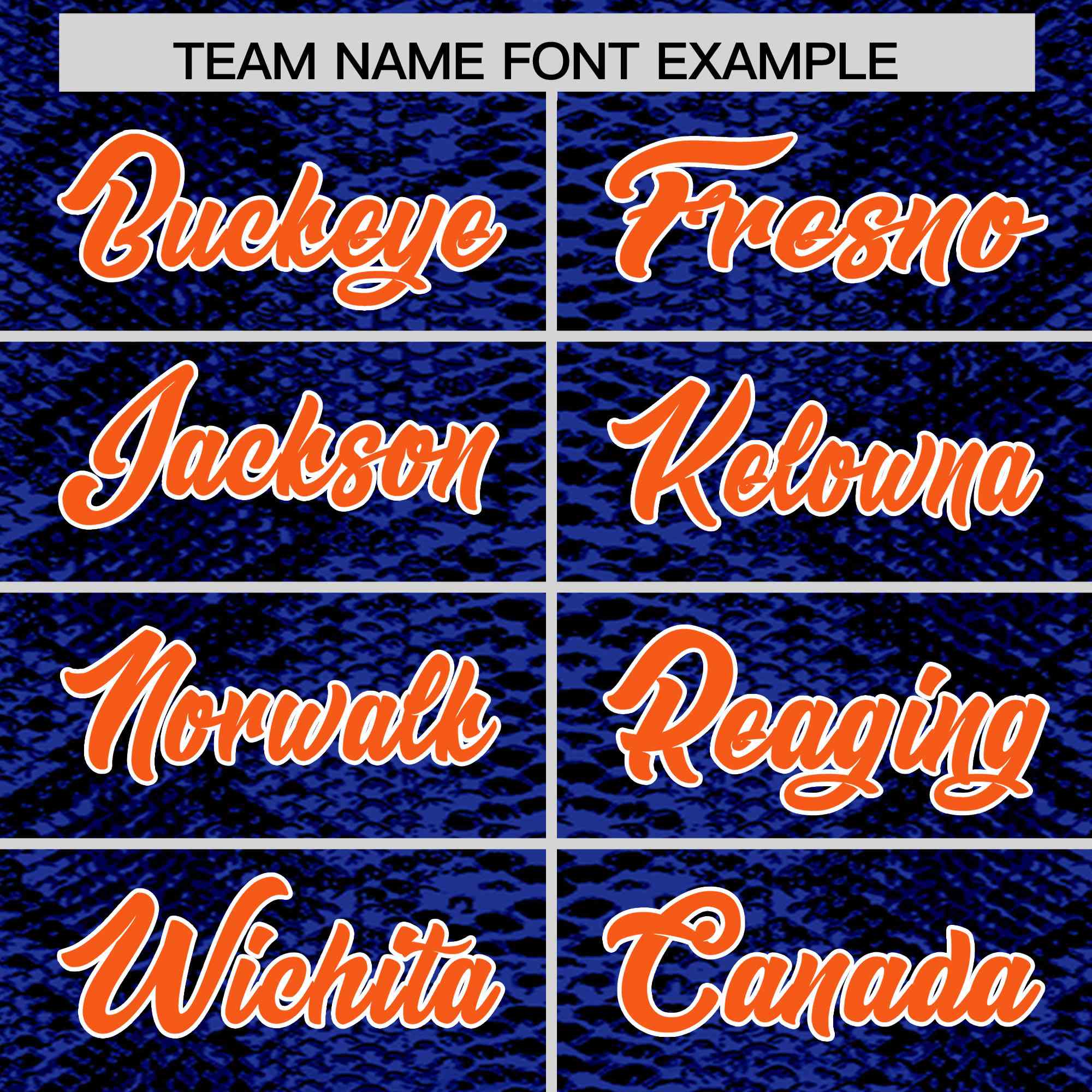 Custom Multi Color Snakeskin Pattern Authentic Baseball Jersey