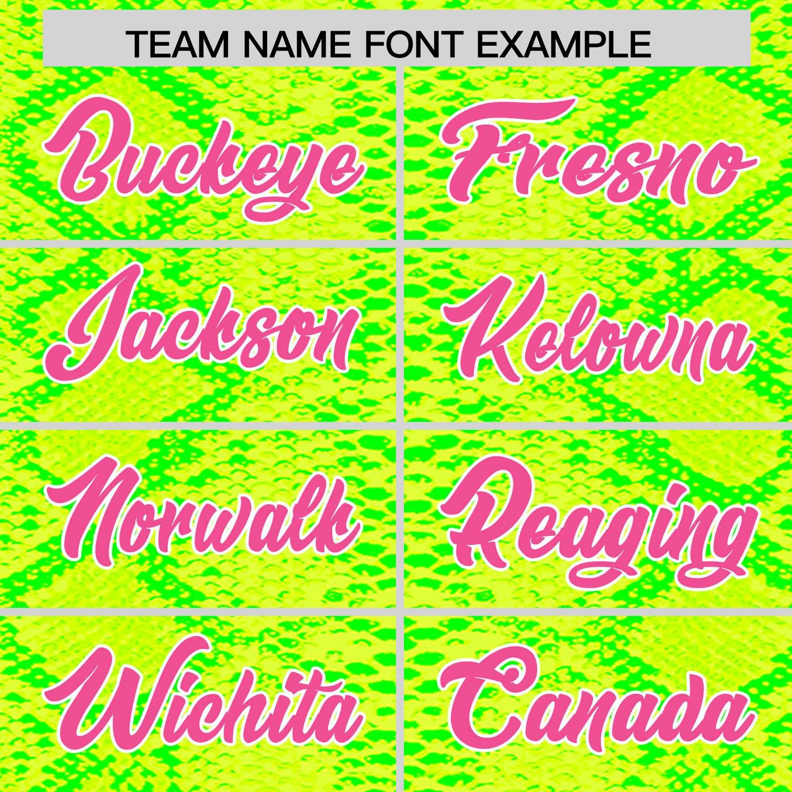 Custom Multi Color Snakeskin Pattern Authentic Baseball Jersey