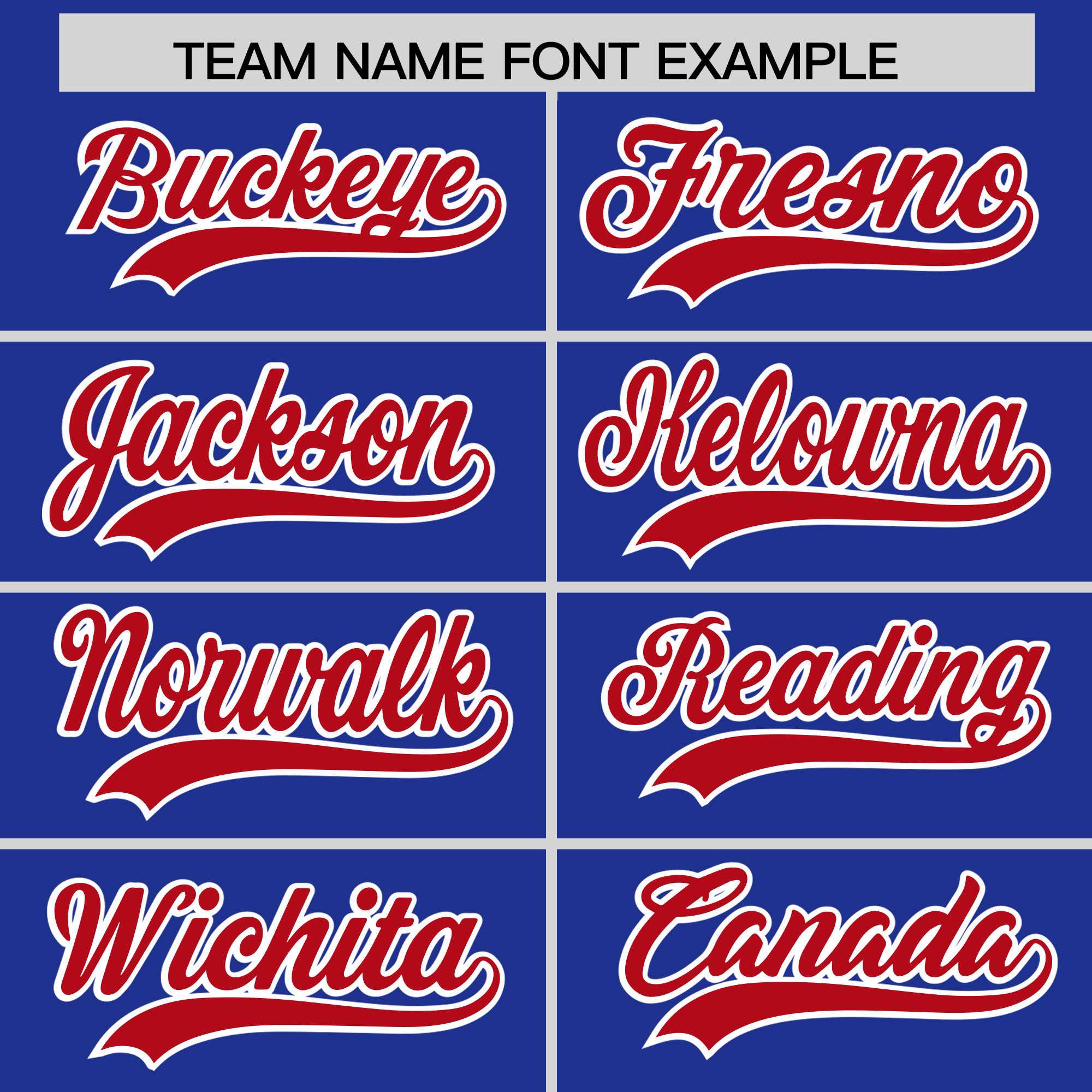 Custom Royal Red Personalized Leopard Graffiti Pattern Side Design Authentic Baseball Jersey