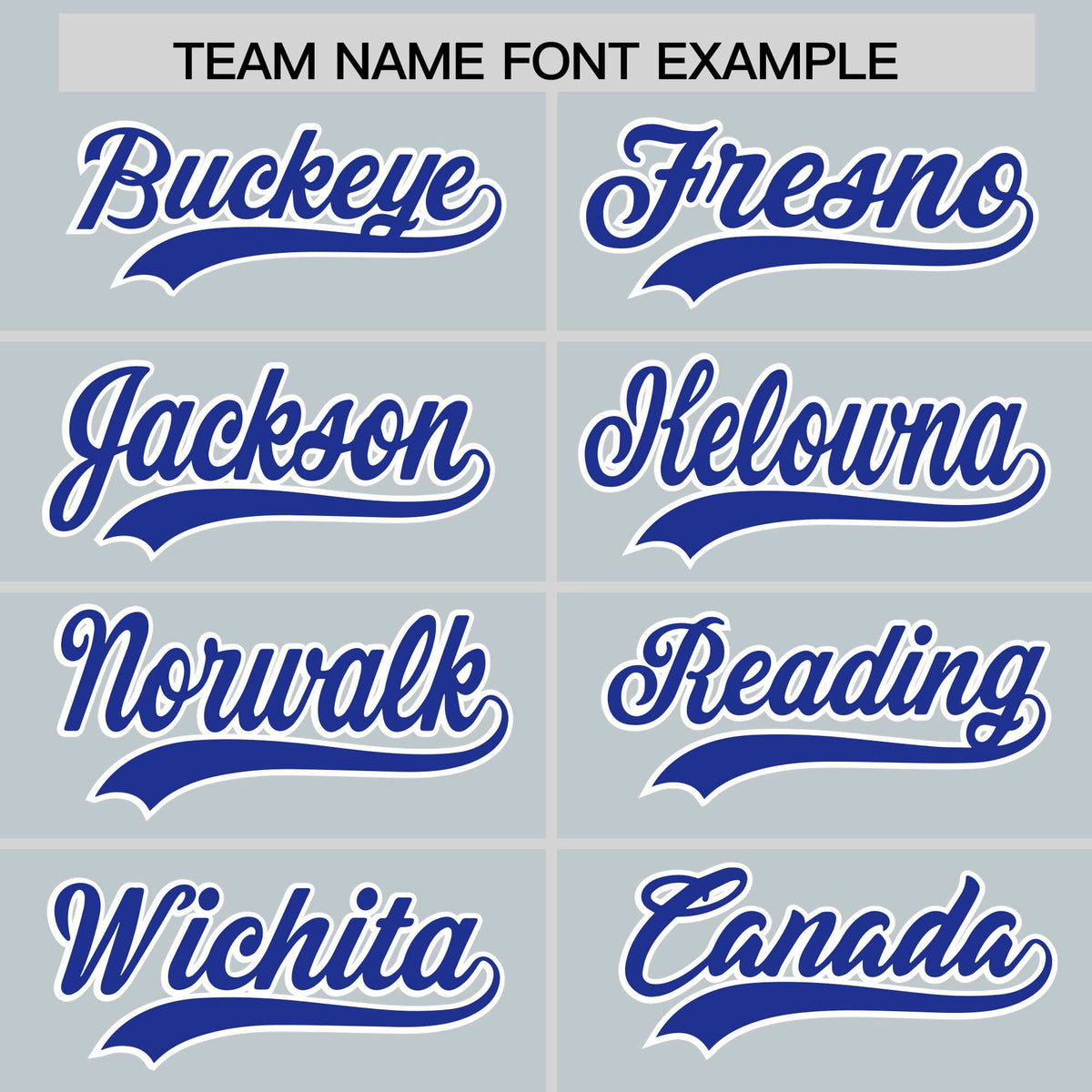 Custom Silver Royal Personalized Leopard Graffiti Pattern Side Design Authentic Baseball Jersey