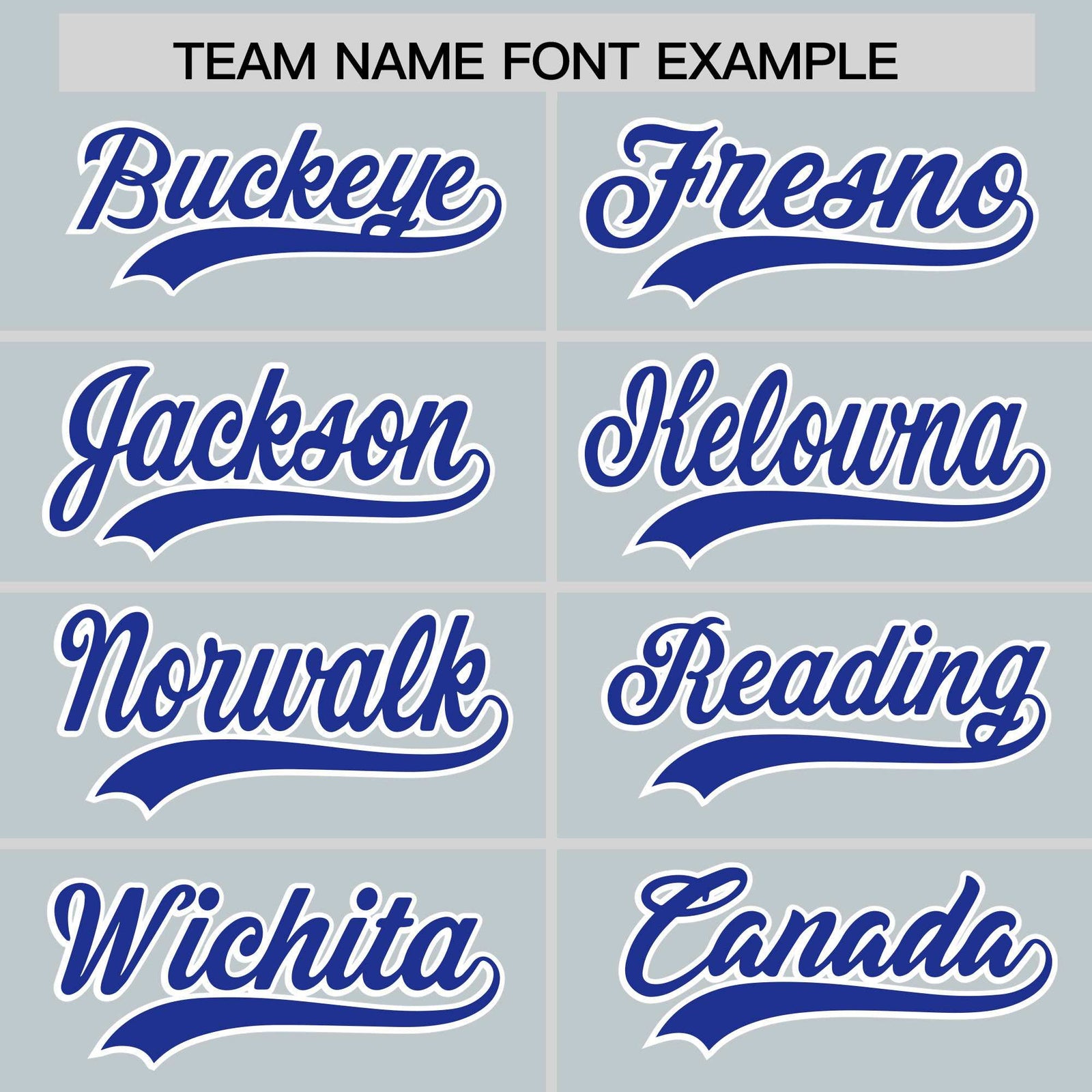 Custom Silver Royal Personalized Leopard Graffiti Pattern Side Design Authentic Baseball Jersey