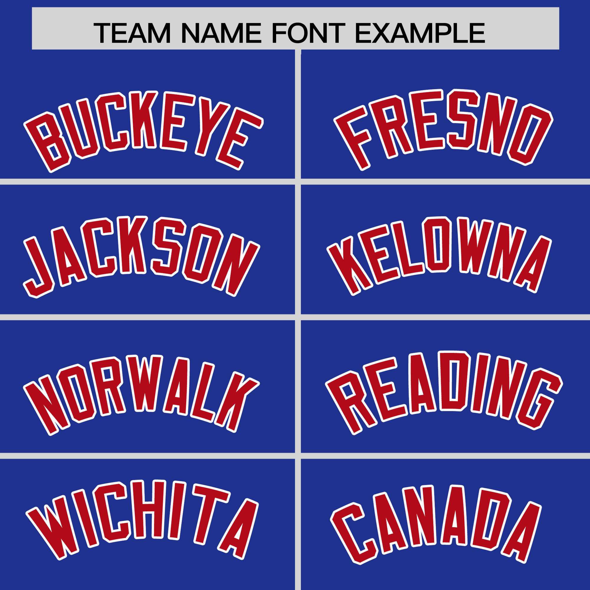 Custom Royal Red Personalized Leopard Graffiti Pattern Side Design Authentic Baseball Jersey