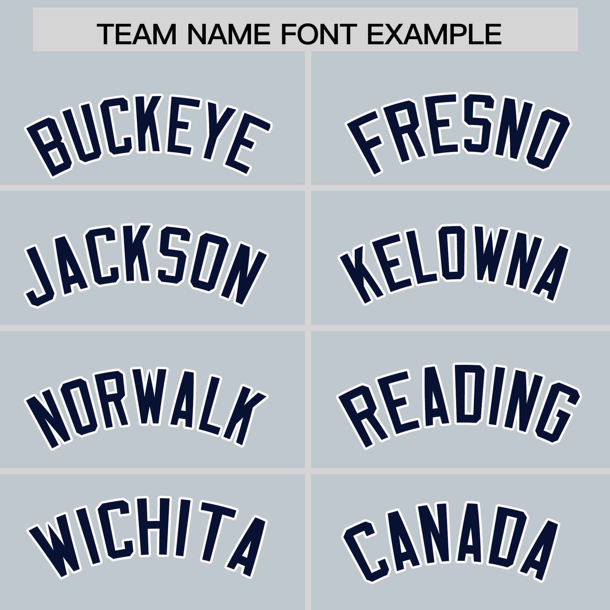 Custom Silver Navy Personalized Leopard Graffiti Pattern Side Design Authentic Baseball Jersey