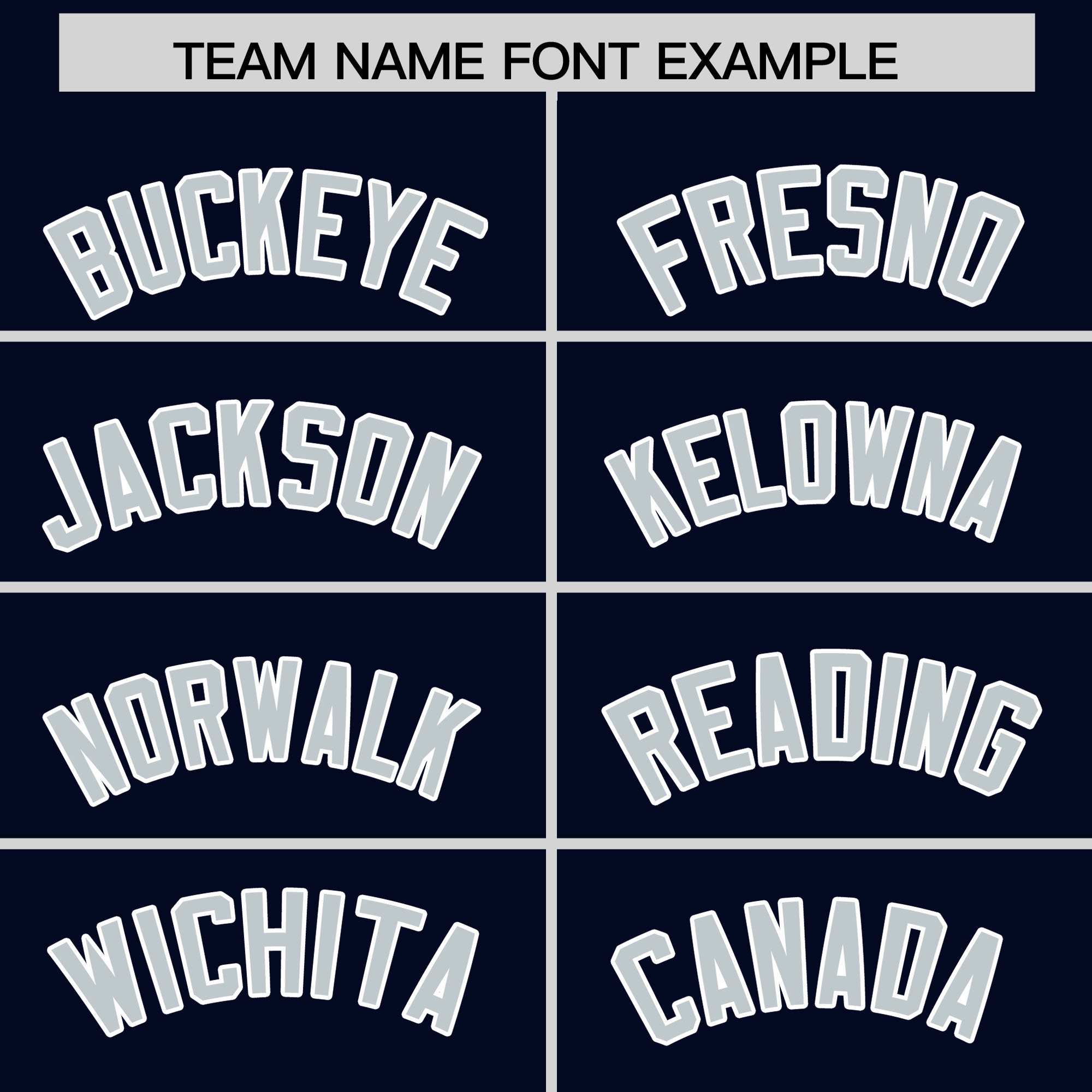 Custom Navy Silver Personalized Leopard Graffiti Pattern Side Design Authentic Baseball Jersey