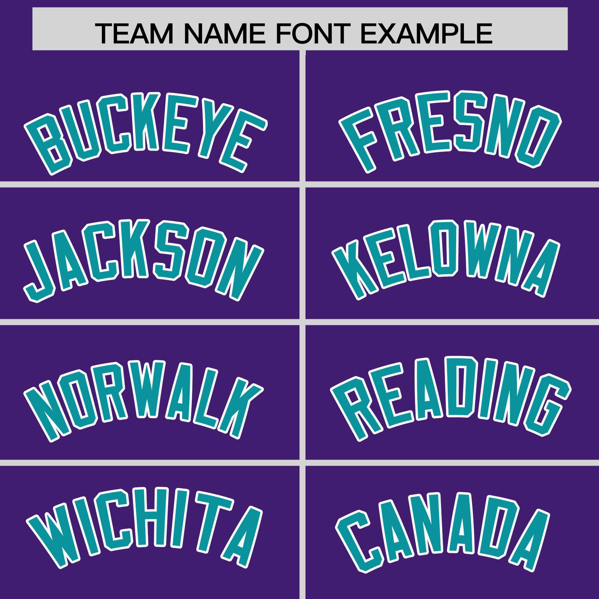 Custom Purple Aqua Personalized Leopard Graffiti Pattern Side Design Authentic Baseball Jersey