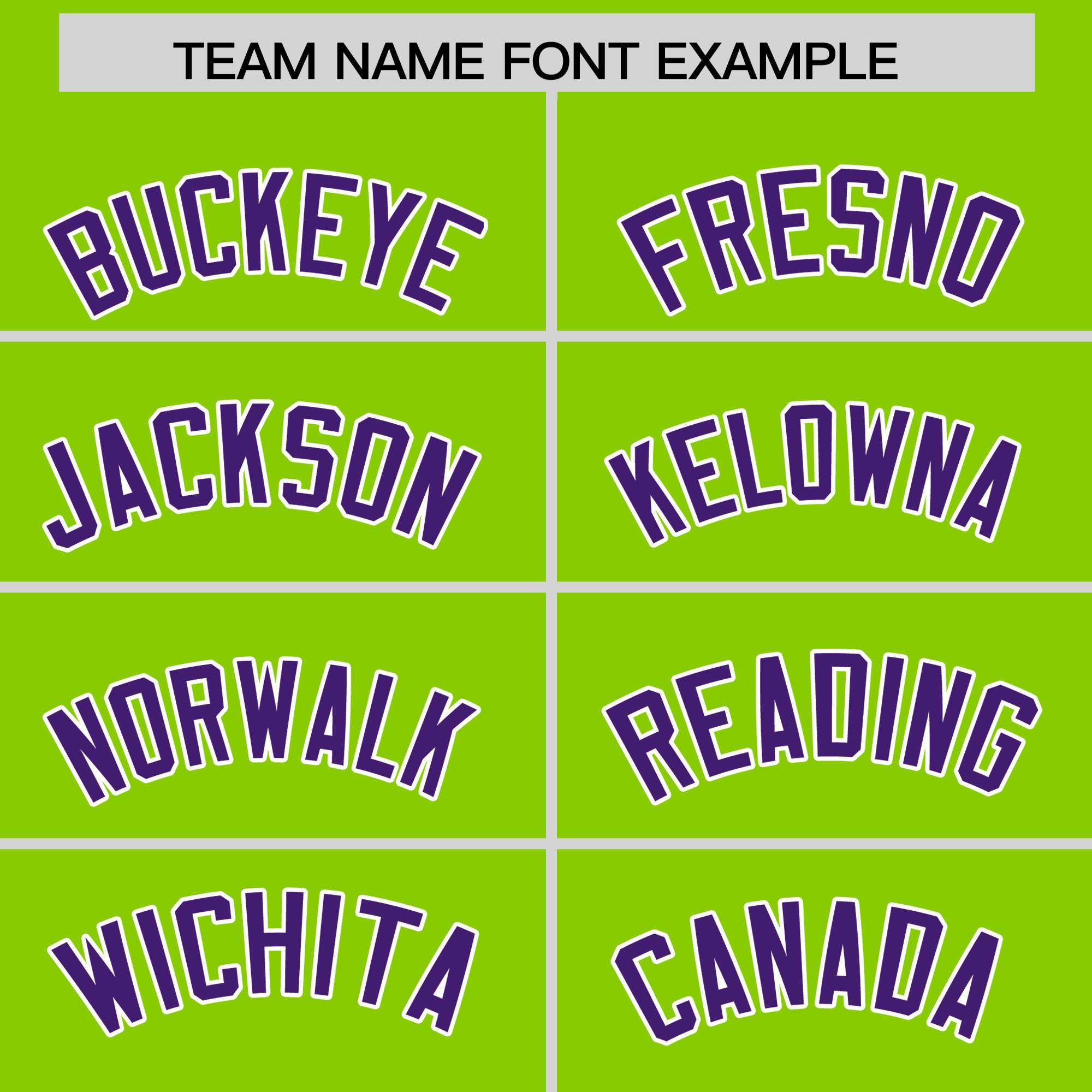 Custom Neon Green Purple Personalized Leopard Graffiti Pattern Side Design Authentic Baseball Jersey