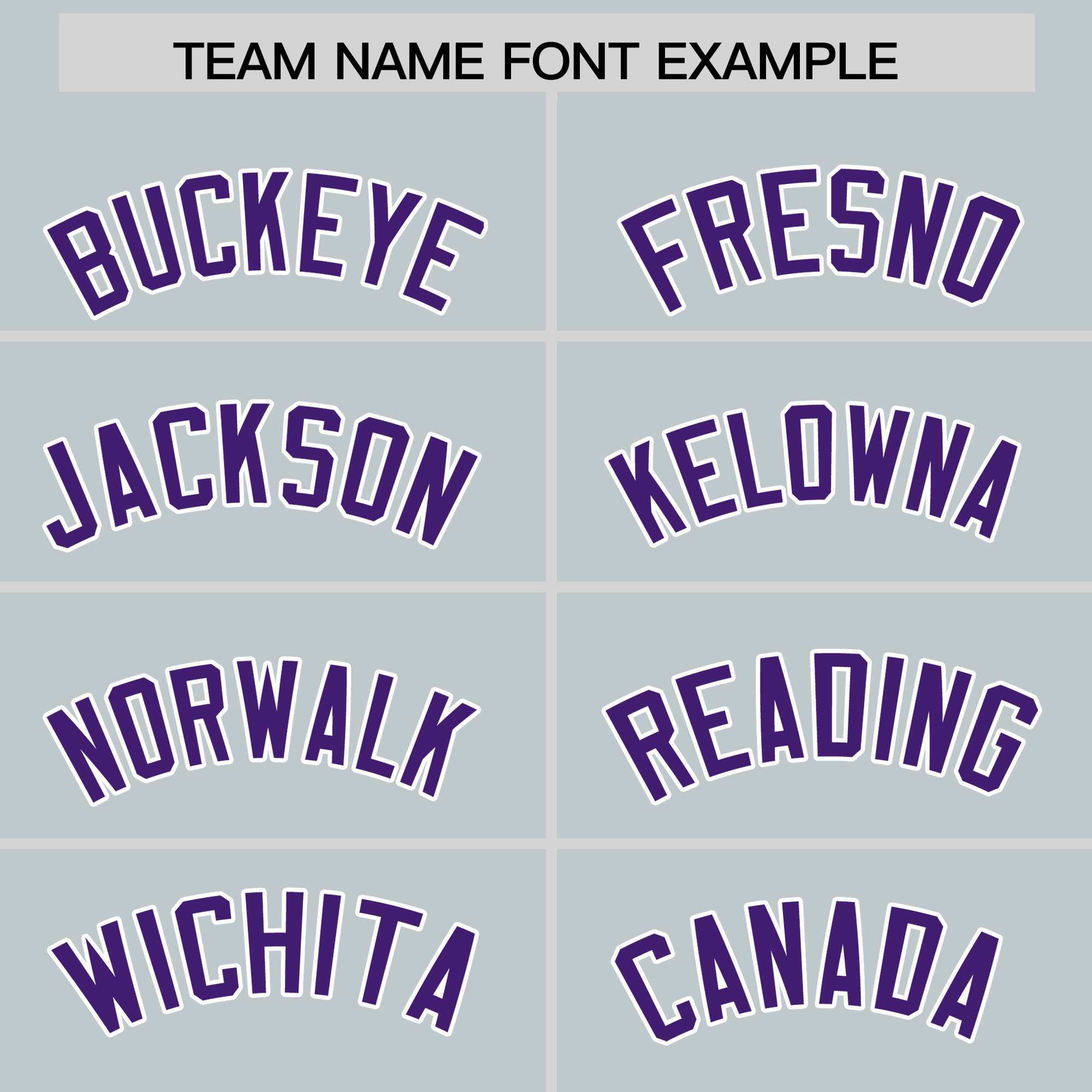 Custom Silver Purple Personalized Leopard Graffiti Pattern Side Design Authentic Baseball Jersey