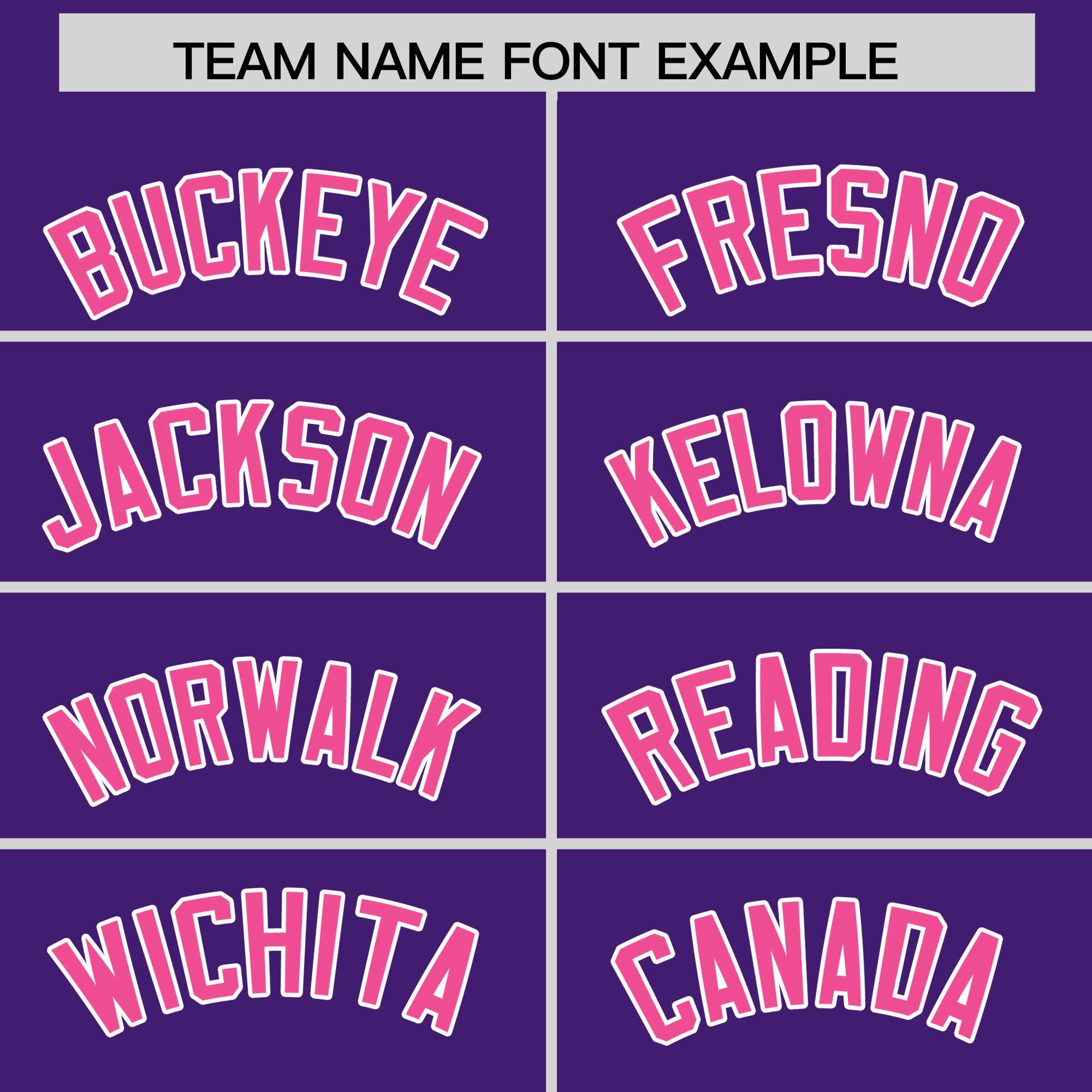 Custom Purple Pink Personalized Leopard Graffiti Pattern Side Design Authentic Baseball Jersey