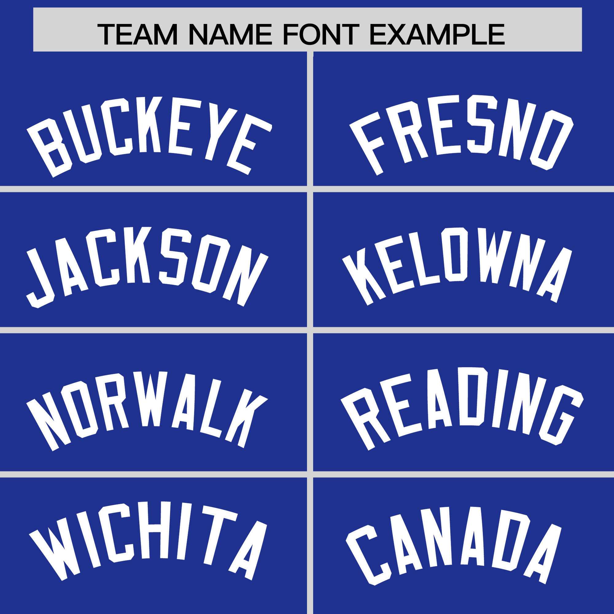 Custom Royal White Personalized Leopard Graffiti Pattern Side Design Authentic Baseball Jersey