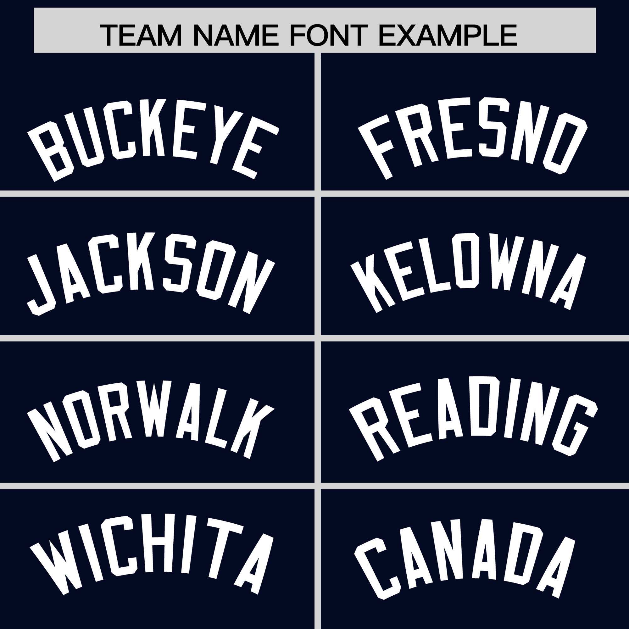 Custom Navy White Personalized Leopard Graffiti Pattern Side Design Authentic Baseball Jersey