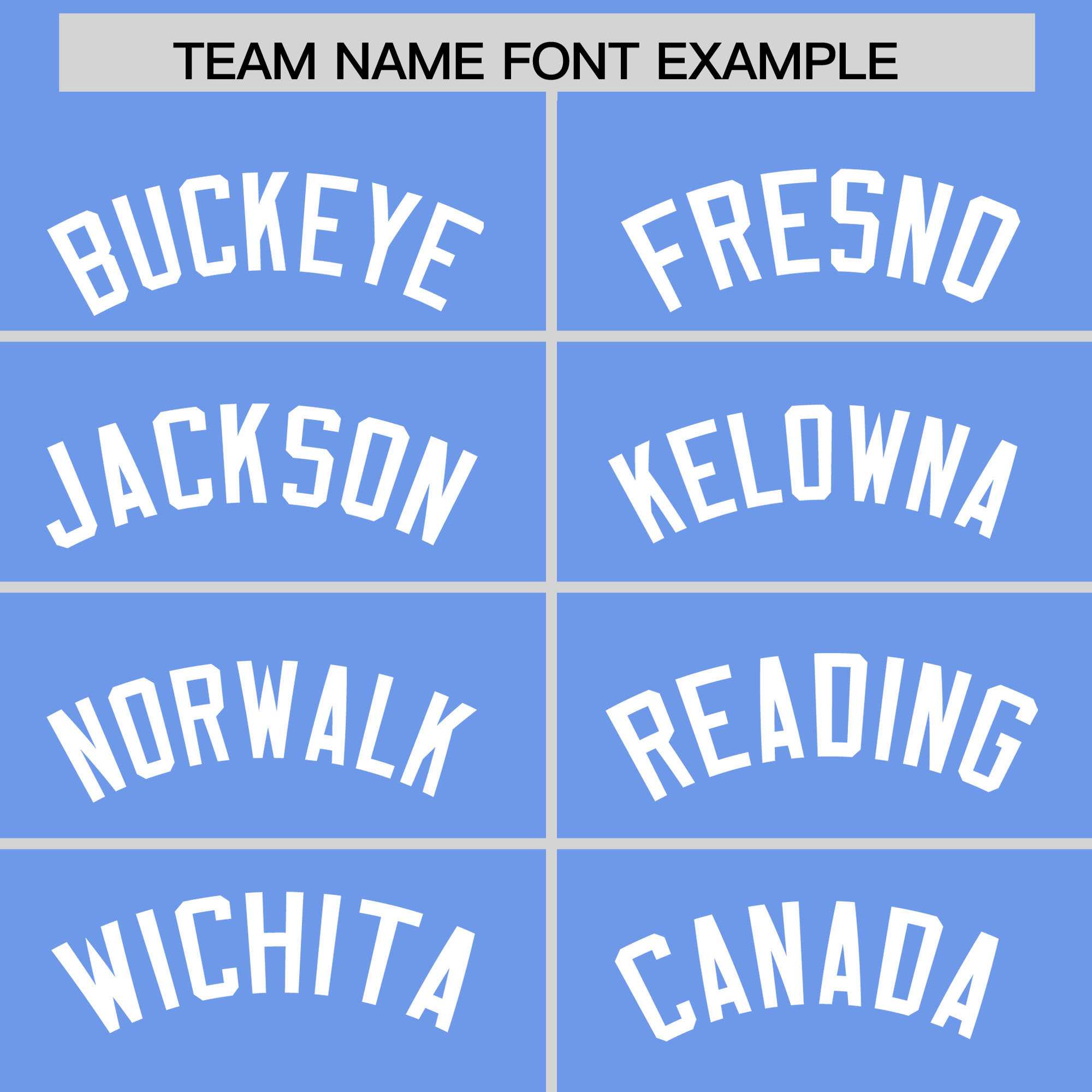 Custom Powder Blue White Personalized Leopard Graffiti Pattern Side Design Authentic Baseball Jersey