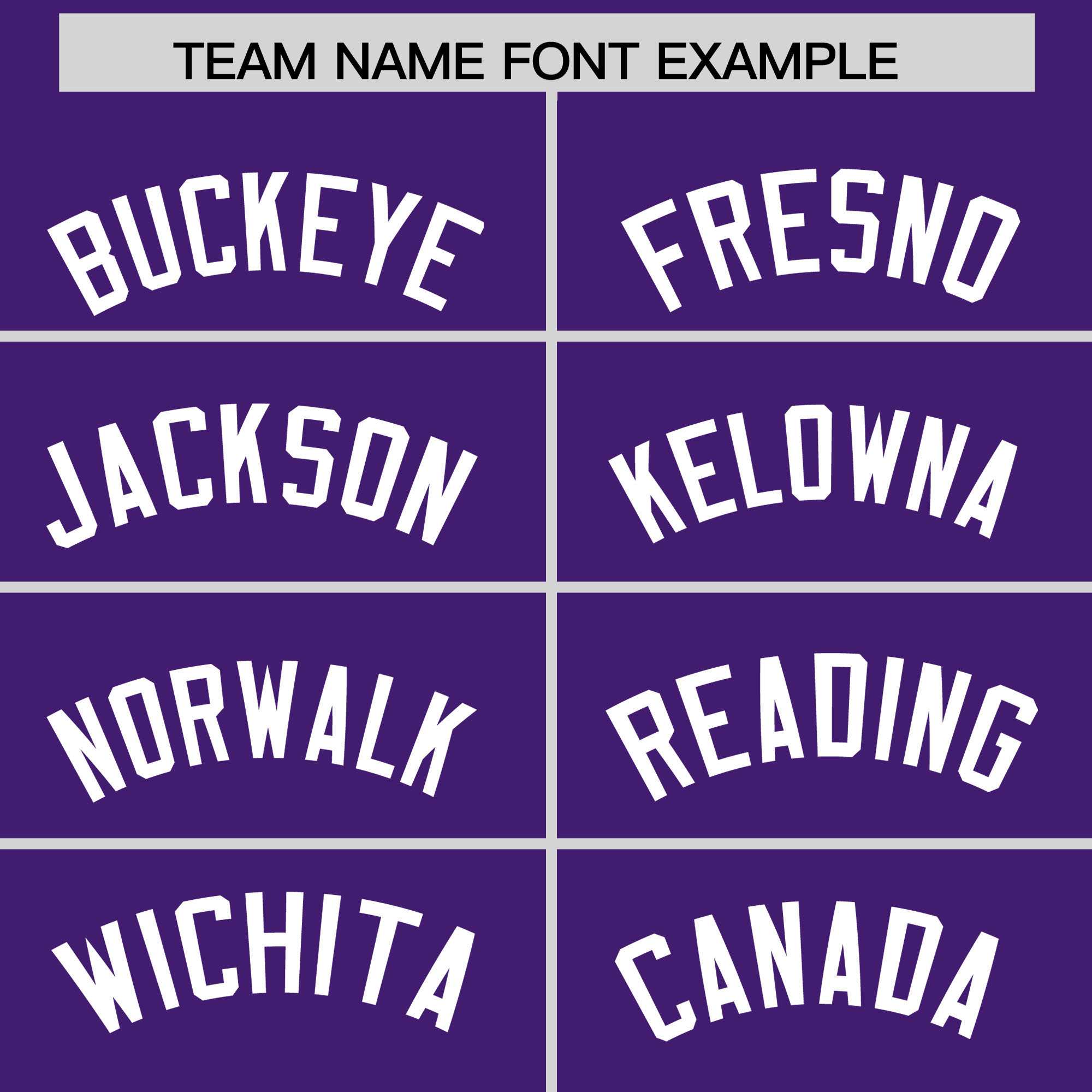 Custom Purple White Personalized Leopard Graffiti Pattern Side Design Authentic Baseball Jersey