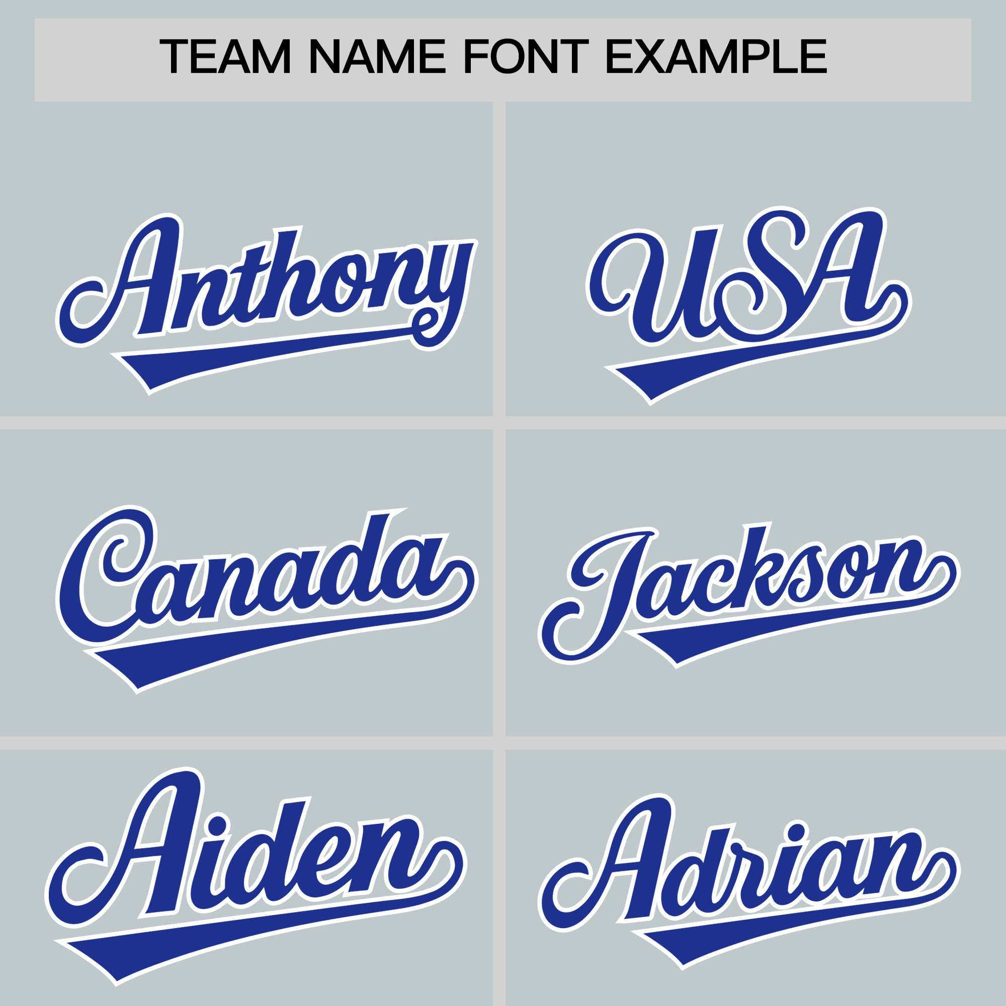 Custom Silver Royal Personalized Leopard Graffiti Pattern Side Design Authentic Baseball Jersey
