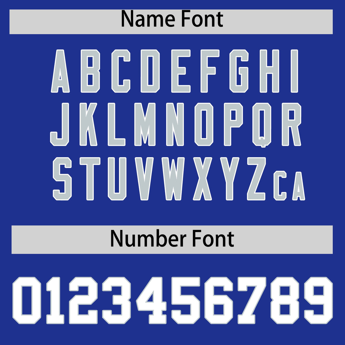 Custom Royal Silver Personalized Leopard Graffiti Pattern Side Design Authentic Baseball Jersey