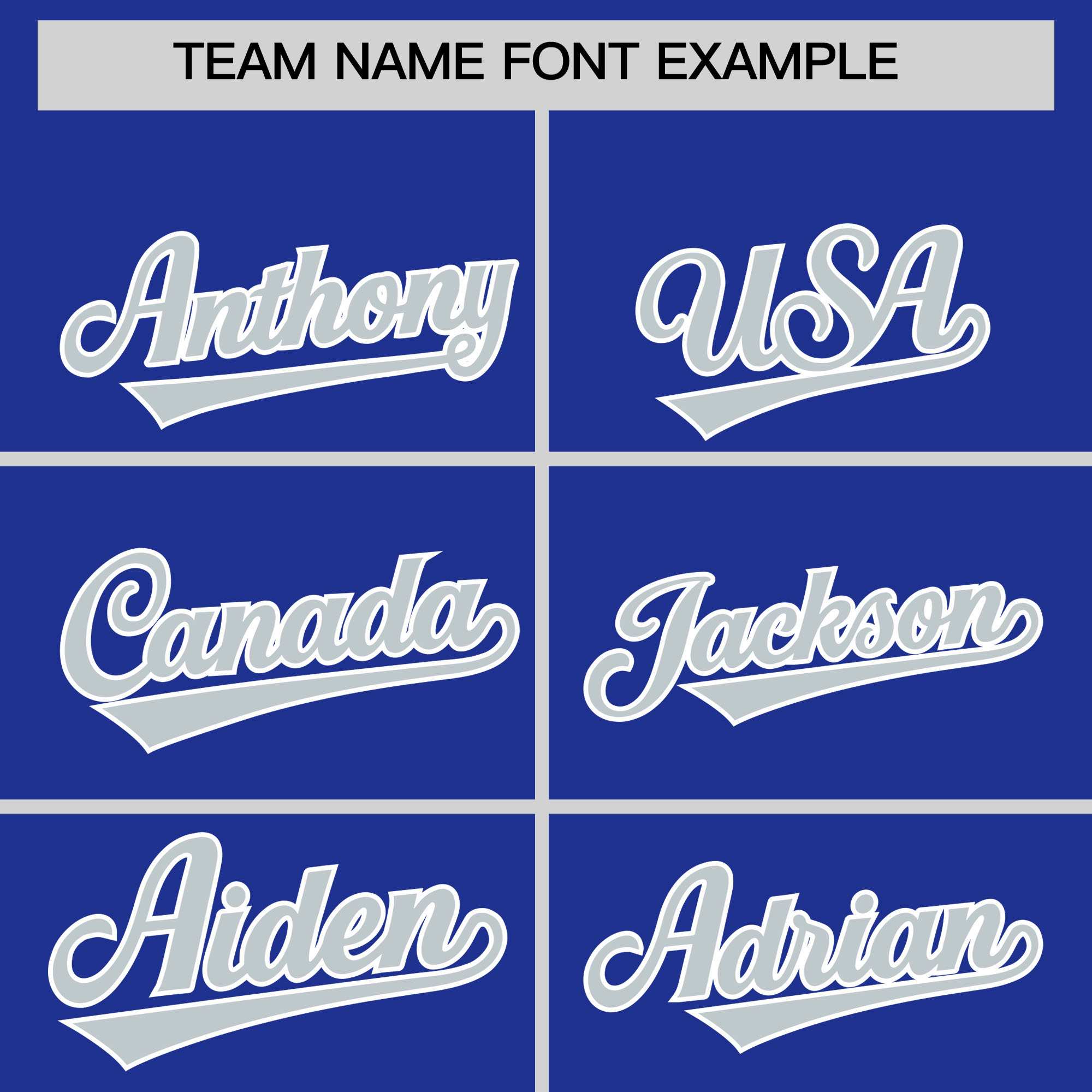 Custom Royal Silver Personalized Leopard Graffiti Pattern Side Design Authentic Baseball Jersey