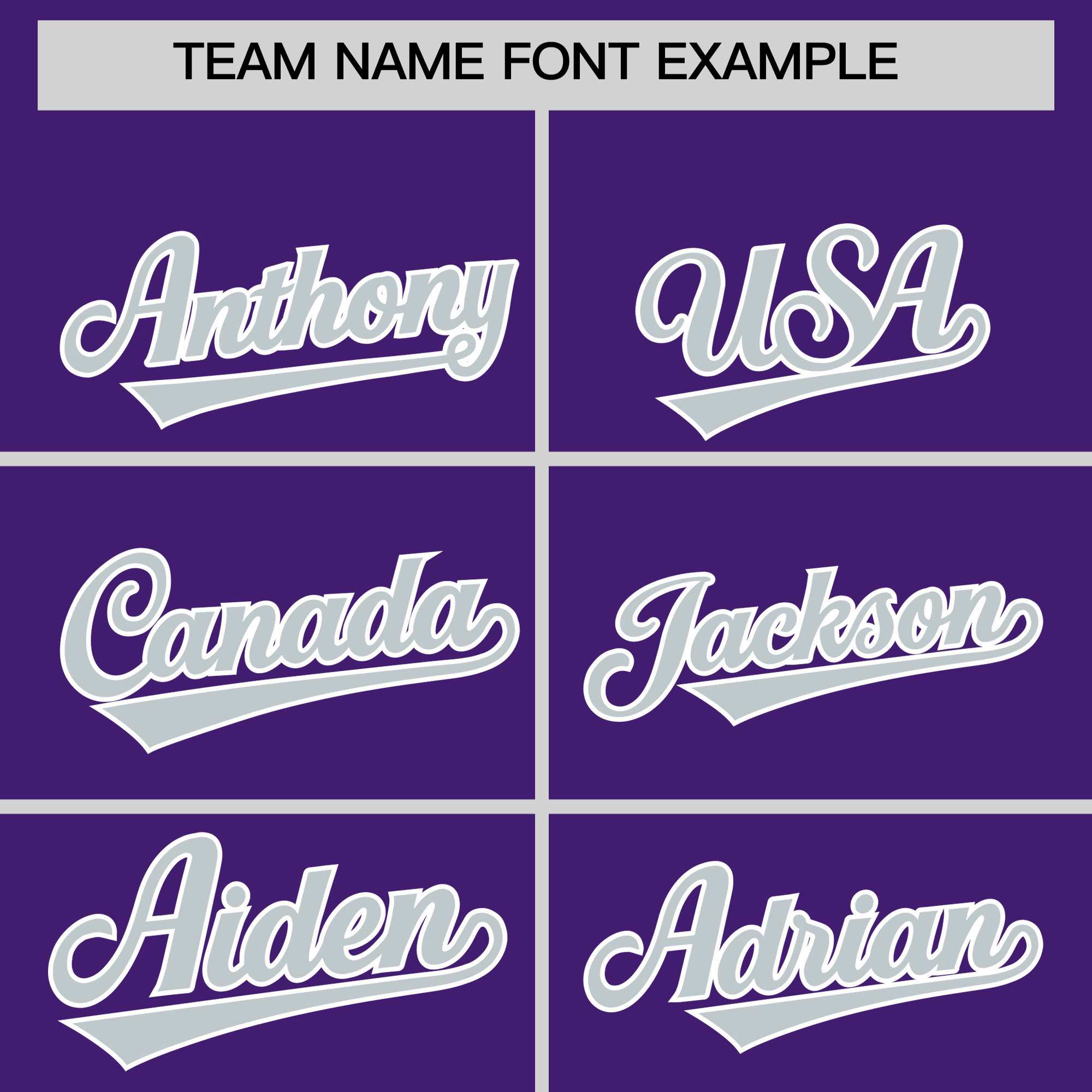 Custom Purple Silver Personalized Leopard Graffiti Pattern Side Design Authentic Baseball Jersey