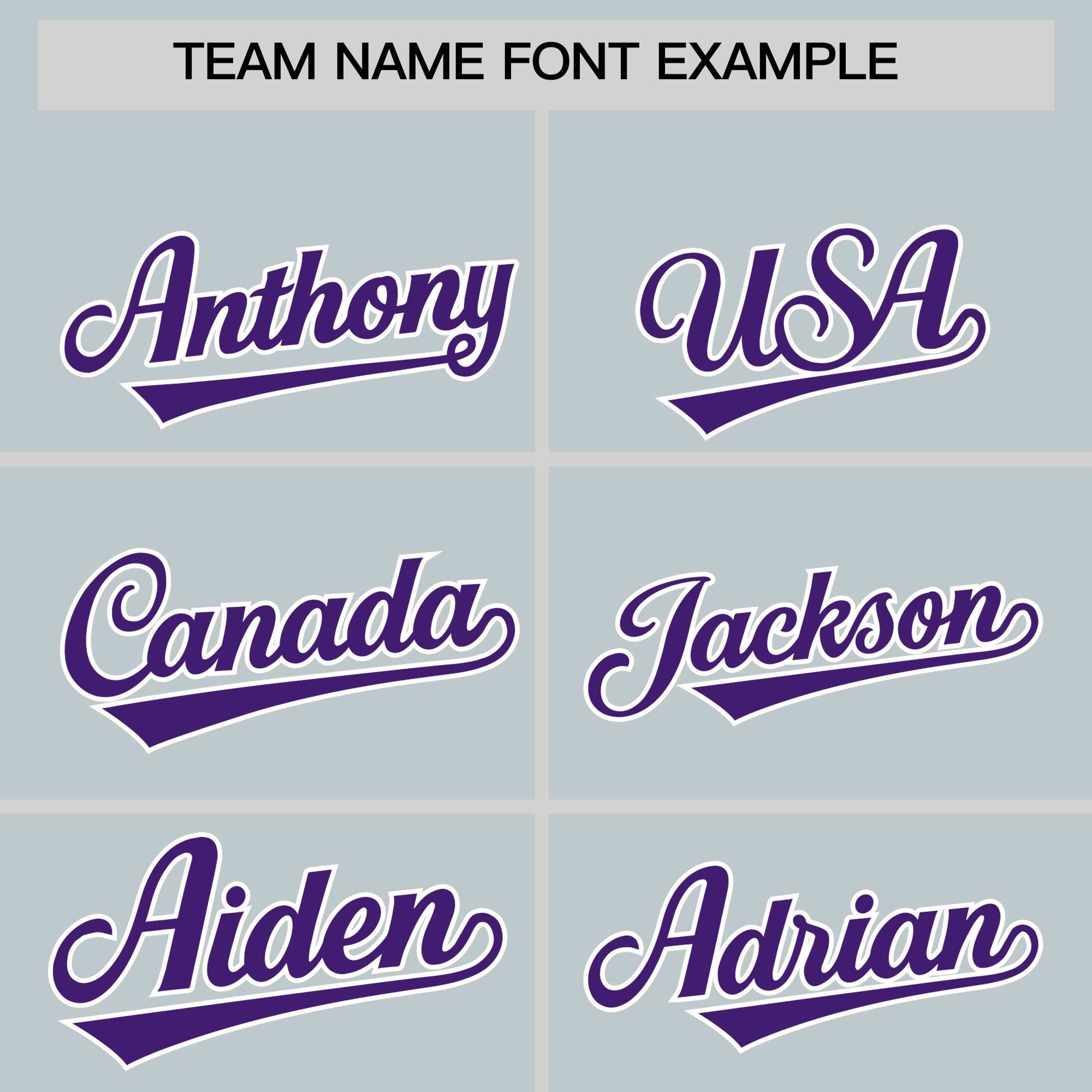 Custom Silver Purple Personalized Leopard Graffiti Pattern Side Design Authentic Baseball Jersey