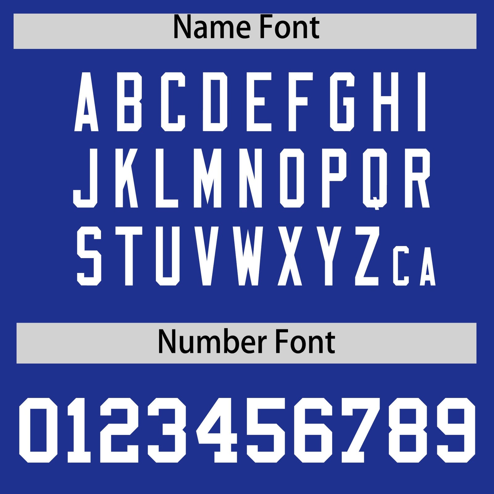 Custom Royal White Personalized Leopard Graffiti Pattern Side Design Authentic Baseball Jersey