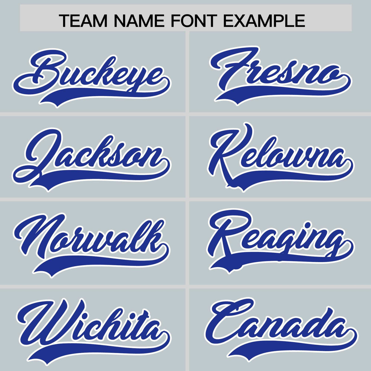 Custom Silver Royal Personalized Leopard Graffiti Pattern Side Design Authentic Baseball Jersey