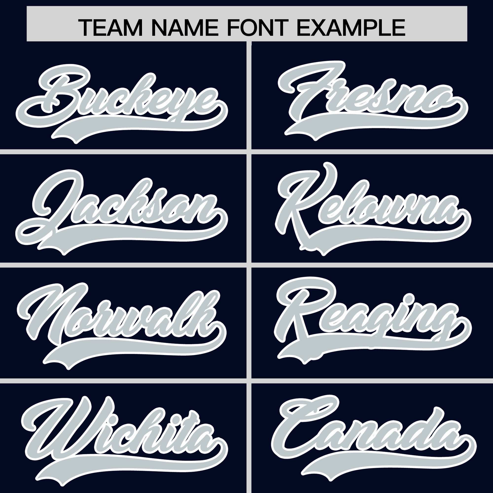 Custom Navy Silver Personalized Leopard Graffiti Pattern Side Design Authentic Baseball Jersey