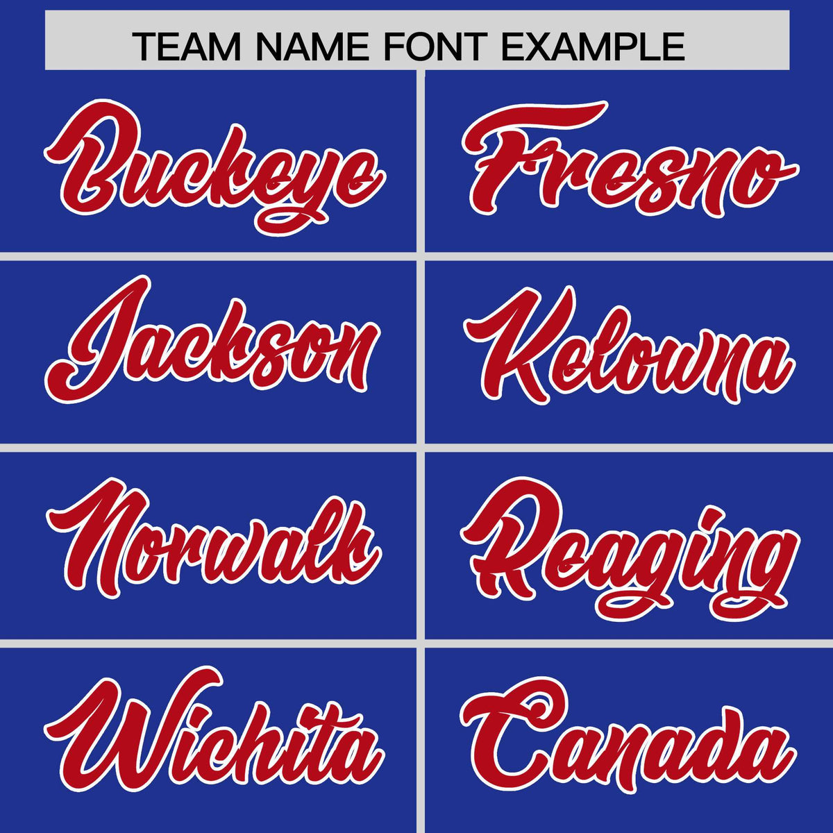 Custom Royal Red Personalized Leopard Graffiti Pattern Side Design Authentic Baseball Jersey