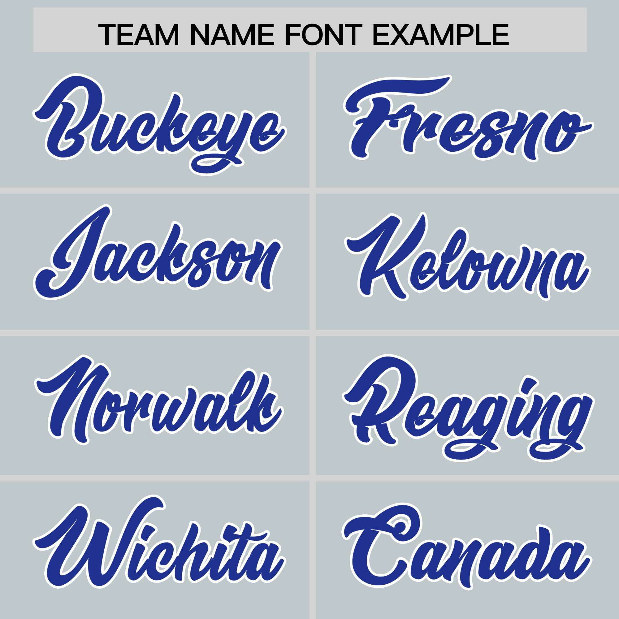 Custom Silver Royal Personalized Leopard Graffiti Pattern Side Design Authentic Baseball Jersey