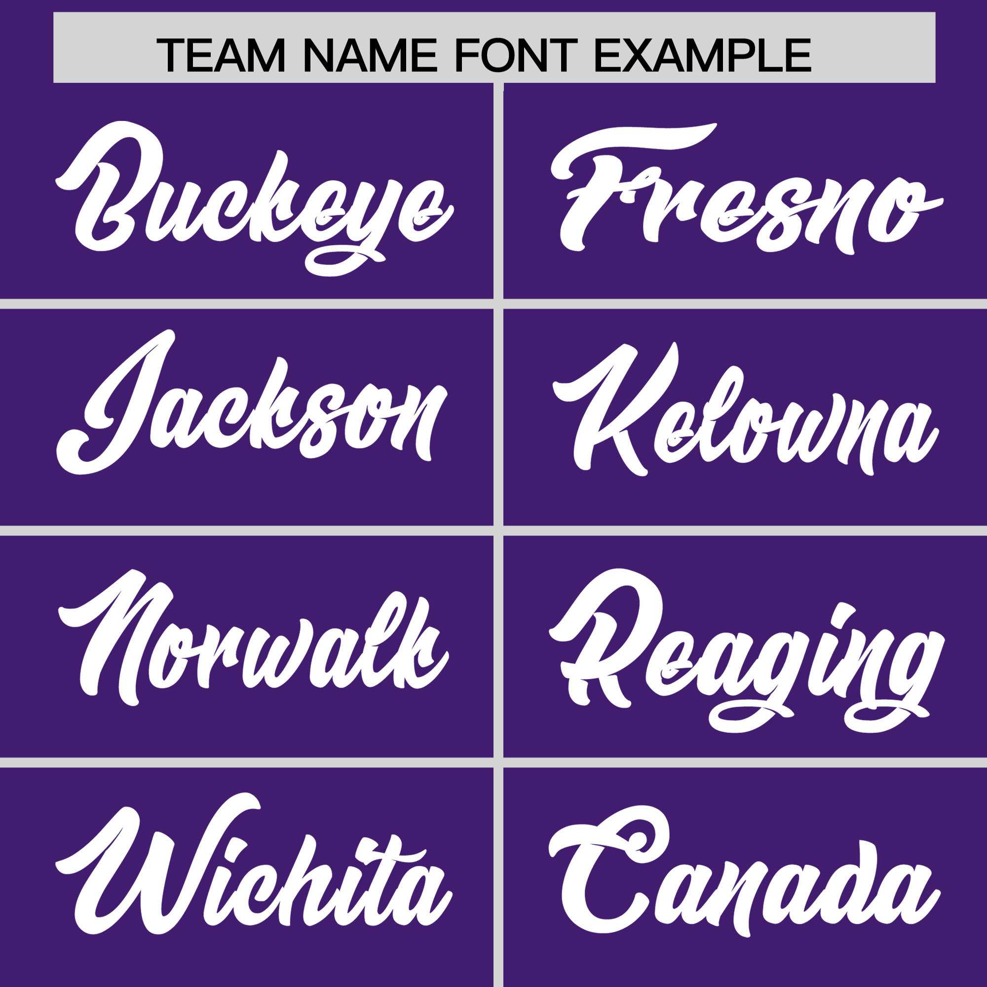 Custom Purple White Personalized Leopard Graffiti Pattern Side Design Authentic Baseball Jersey