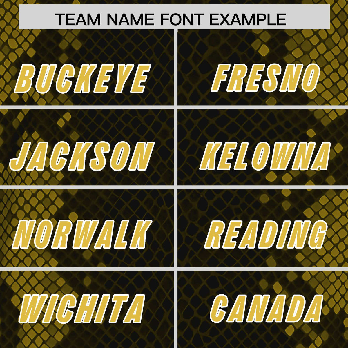 Custom Black Personalized Snakeskin Graffiti Pattern Authentic Football Jersey