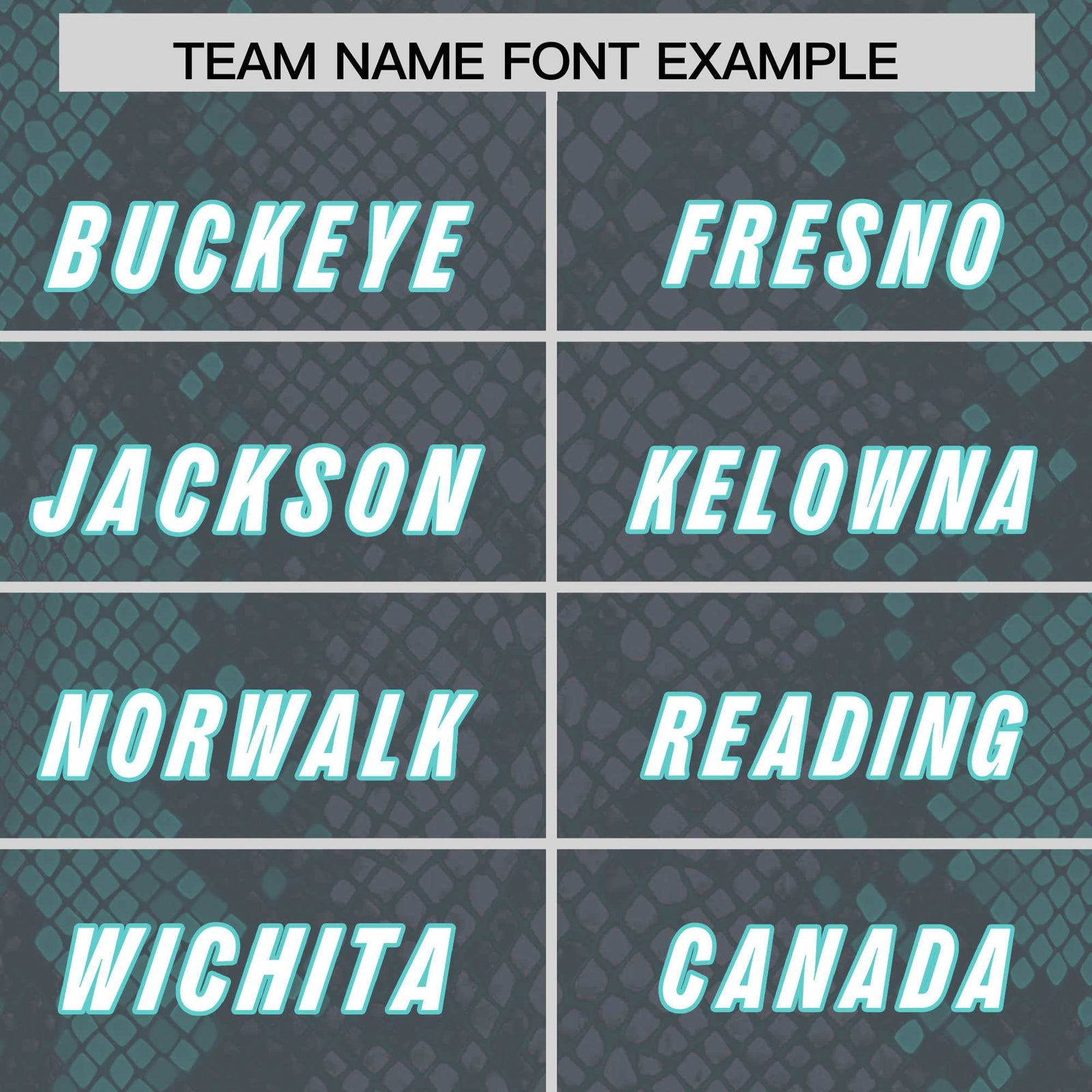 Custom Gray Personalized Snakeskin Graffiti Pattern Authentic Football Jersey