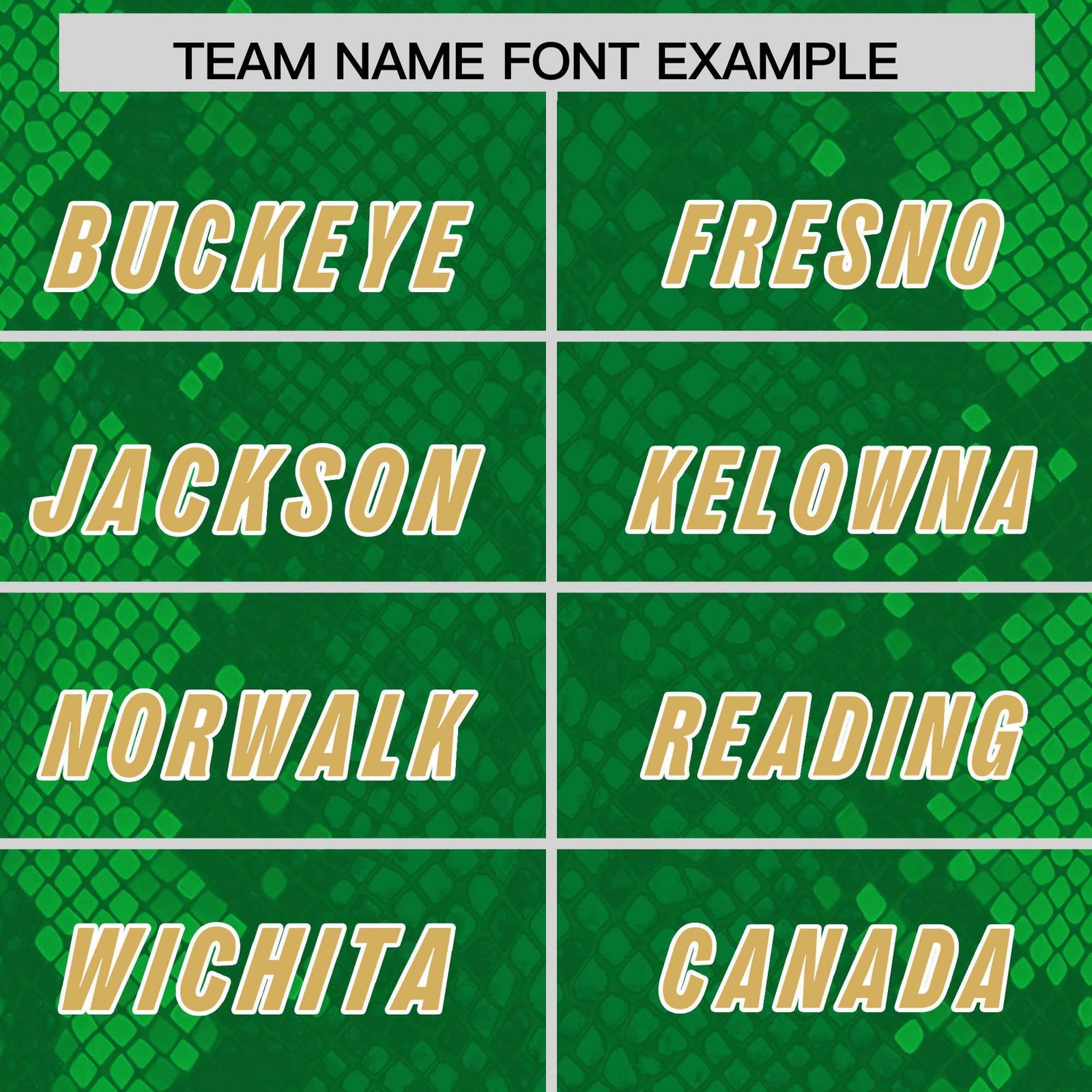 Custom Kelly Green Personalized Snakeskin Graffiti Pattern Authentic Football Jersey