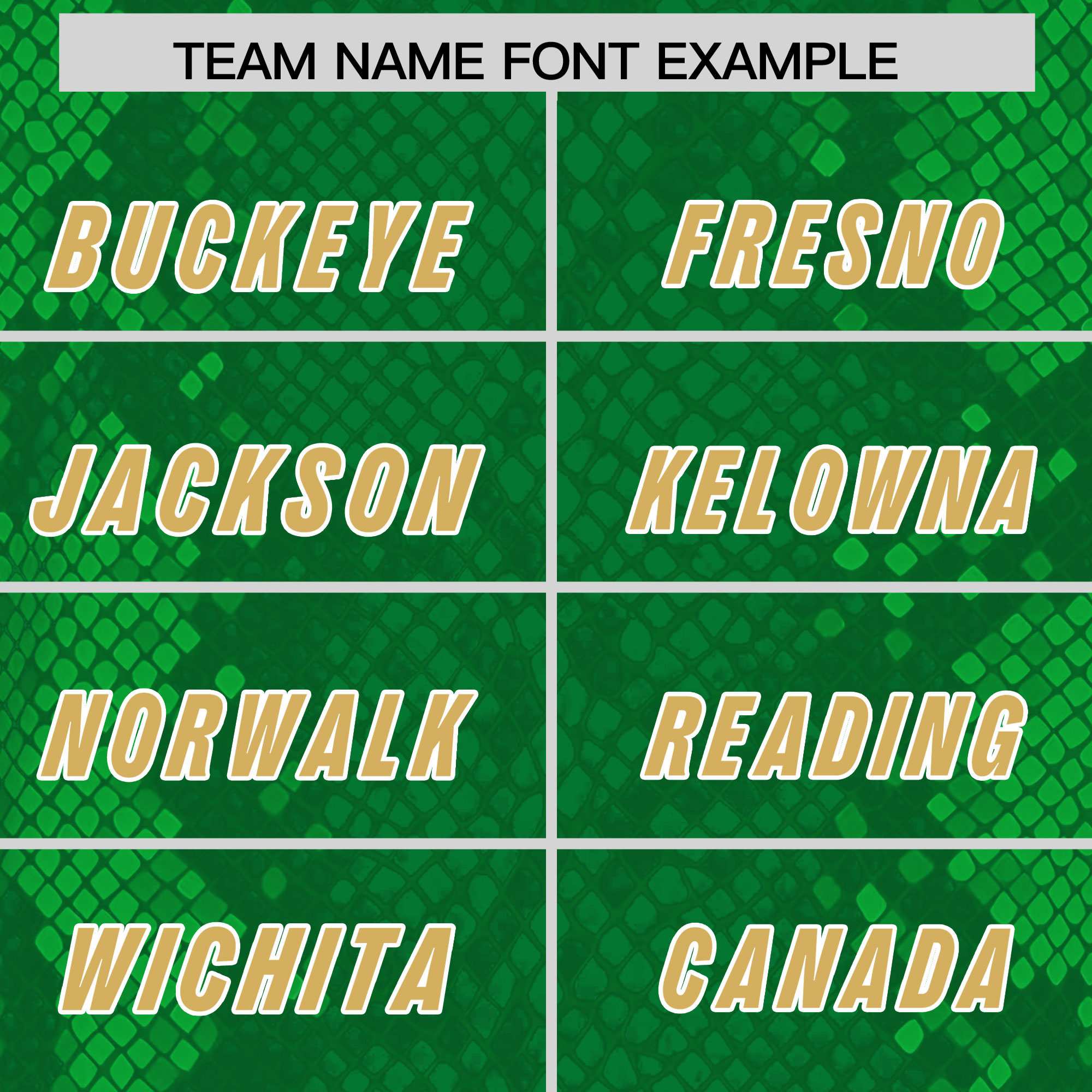 Custom Kelly Green Personalized Snakeskin Graffiti Pattern Authentic Football Jersey