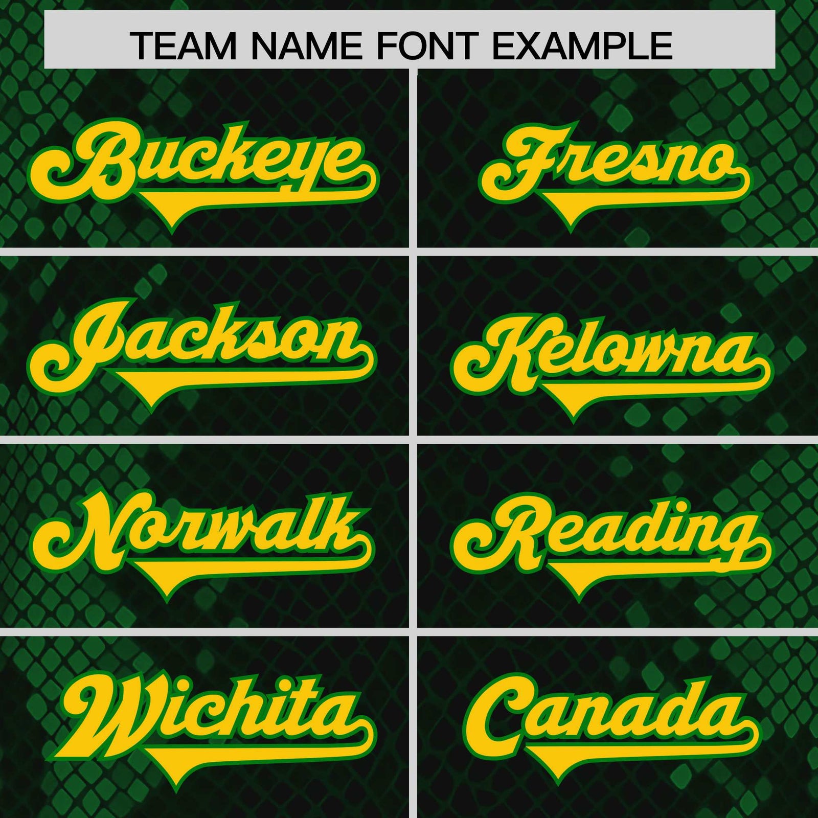 Custom Black Personalized Snakeskin Graffiti Pattern Authentic Football Jersey