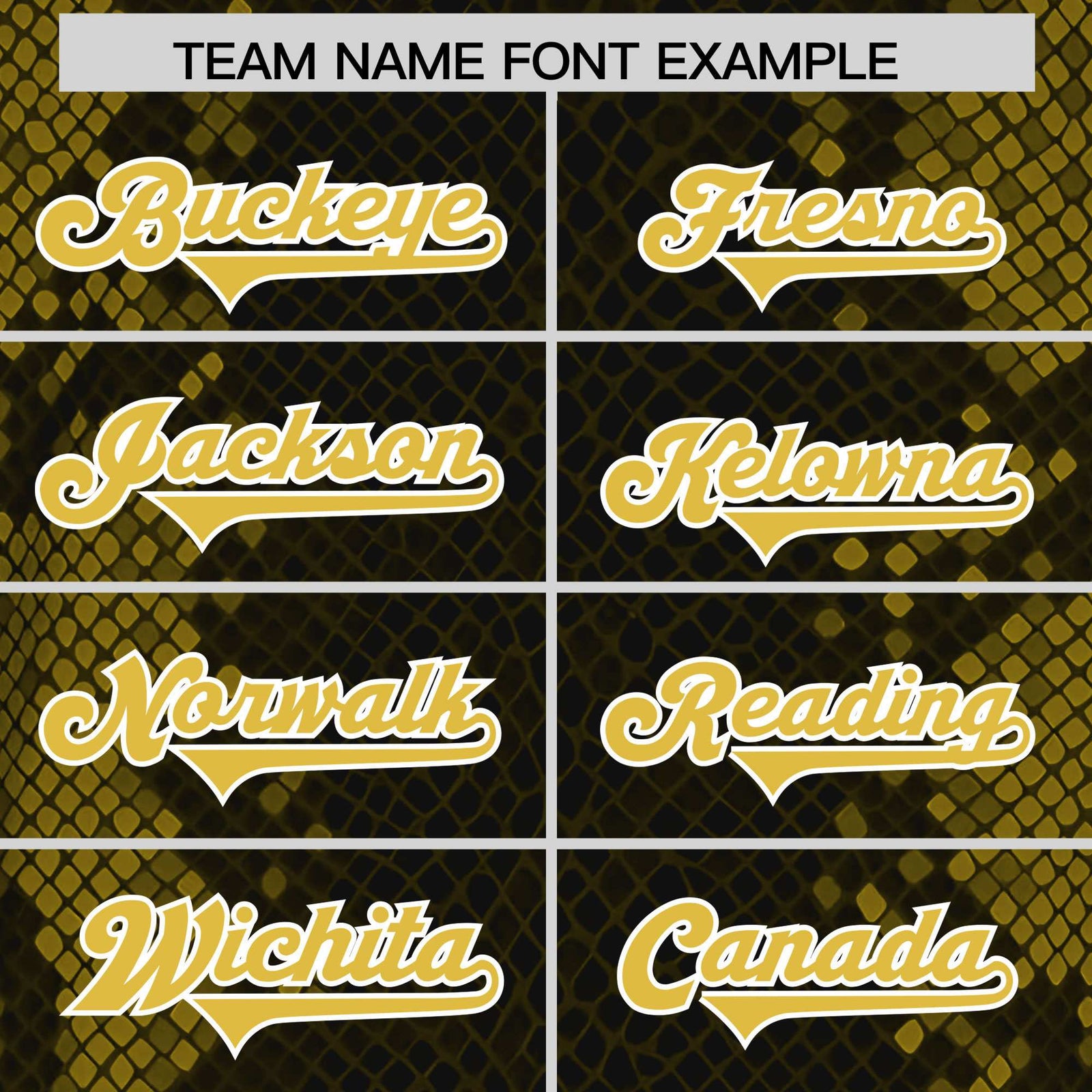 Custom Black Personalized Snakeskin Graffiti Pattern Authentic Football Jersey