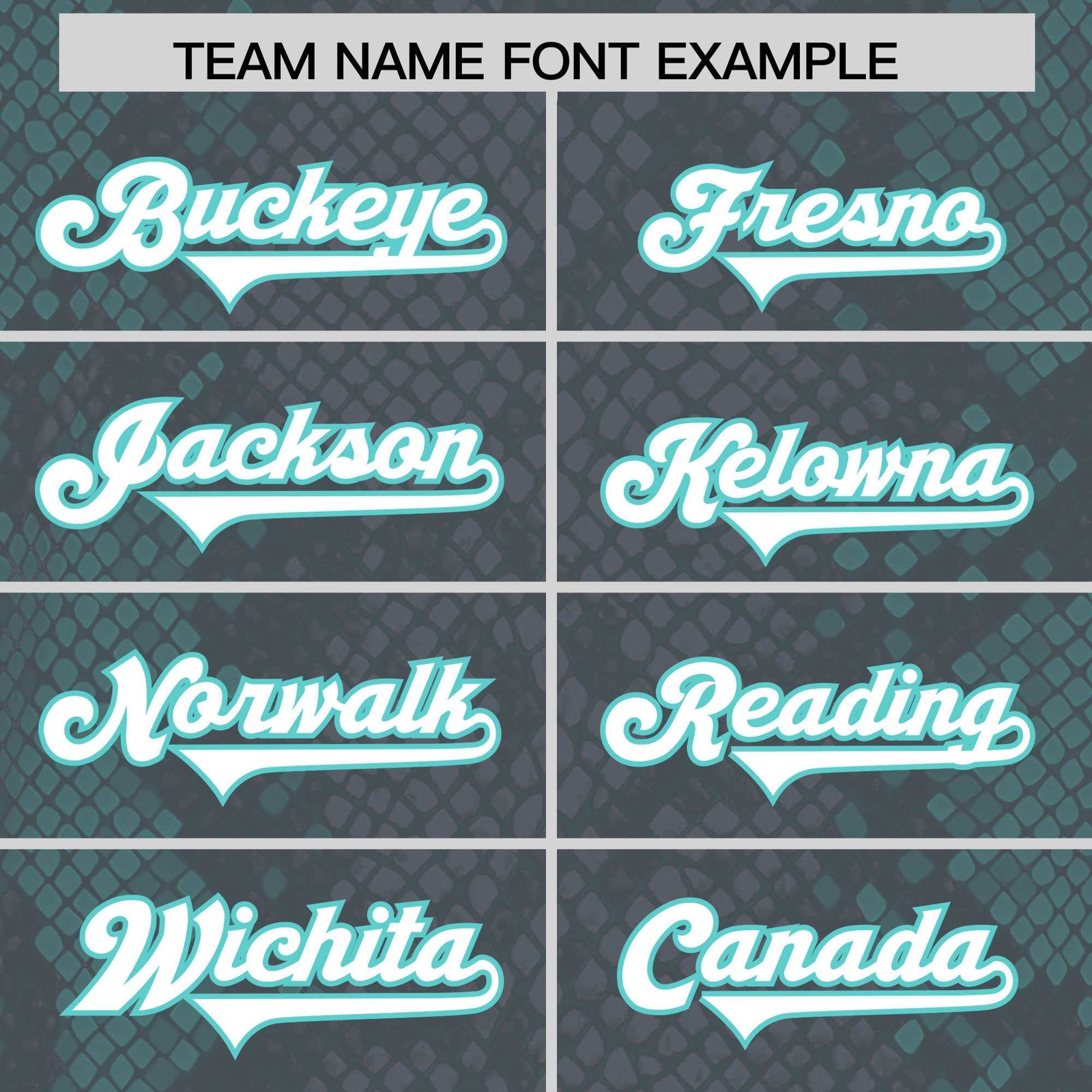 Custom Gray Personalized Snakeskin Graffiti Pattern Authentic Football Jersey