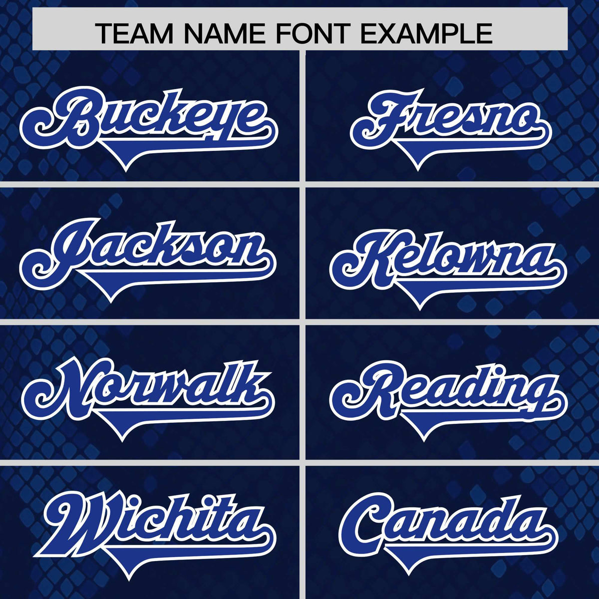 Custom Navy Personalized Snakeskin Graffiti Pattern Authentic Football Jersey